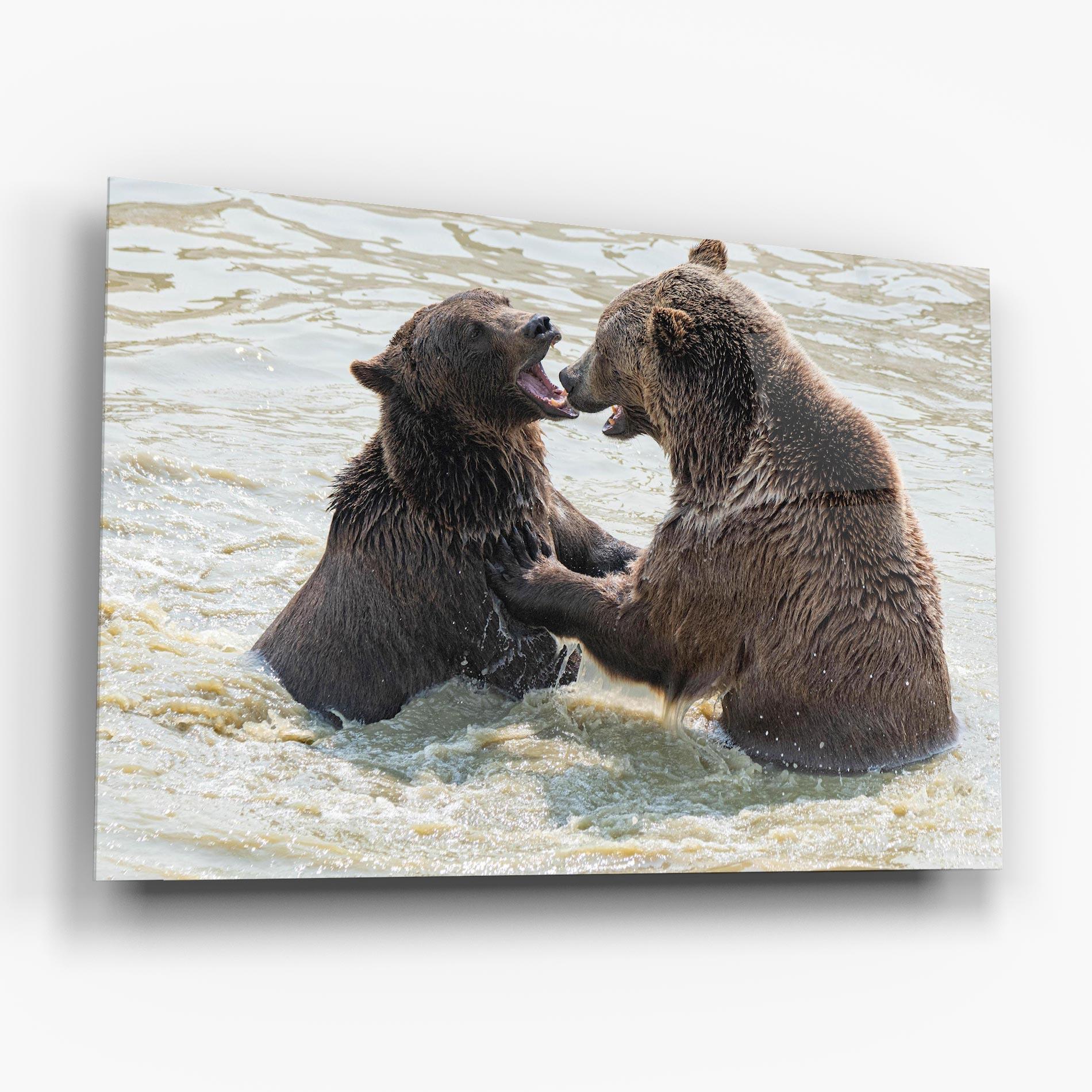 Üvegkép Bears Fighting mockup 6