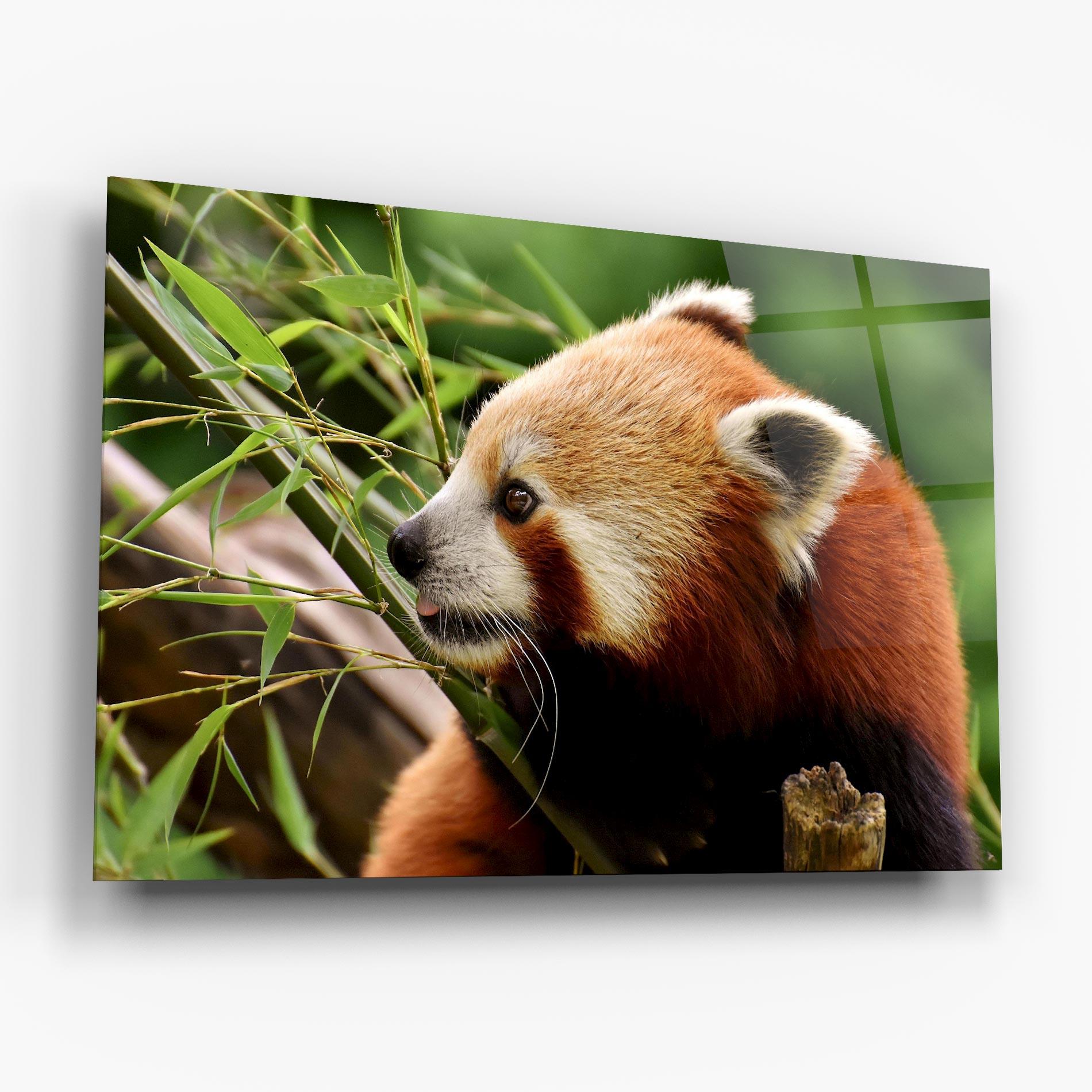 Üvegkép Cute Red Panda mockup 6