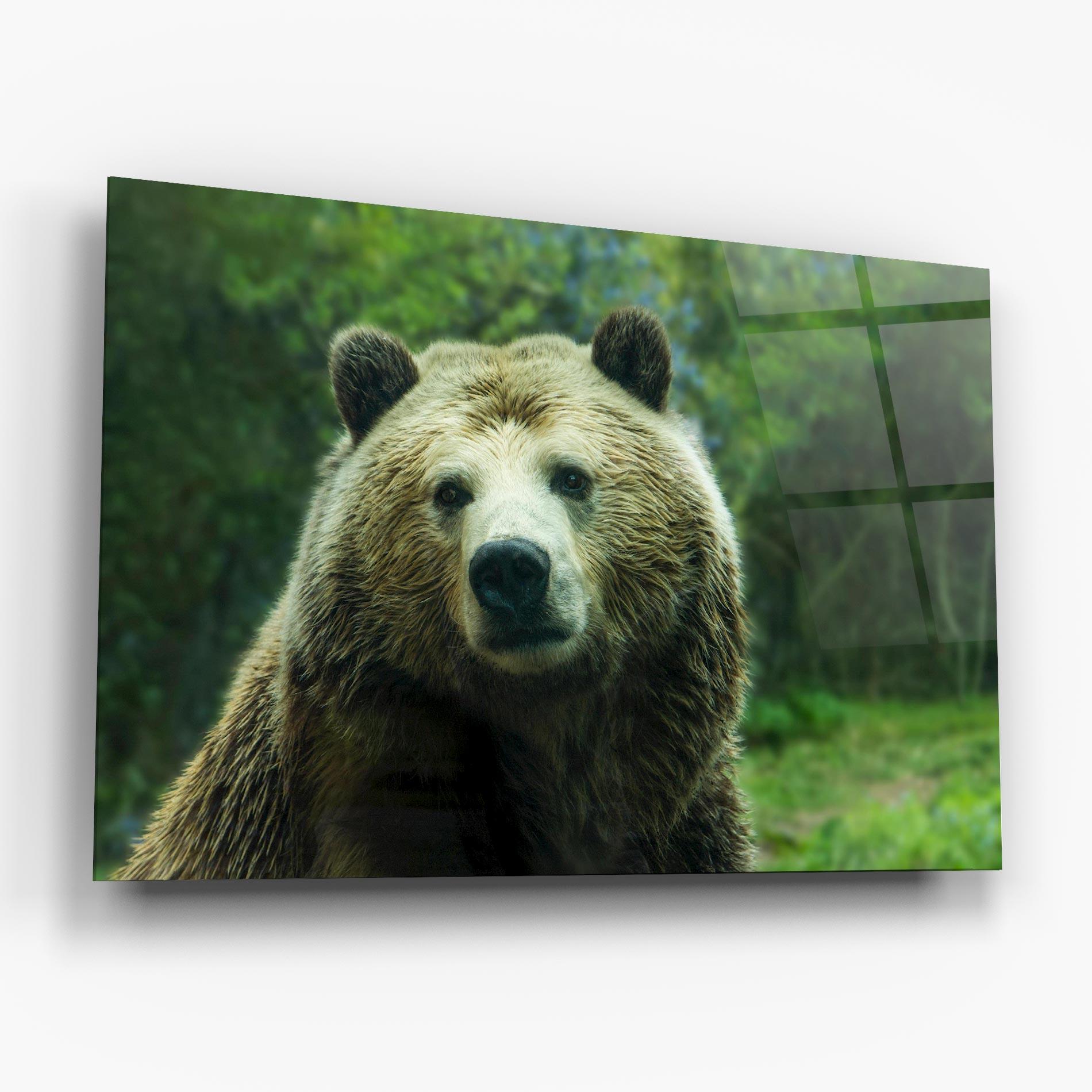 Üvegkép Green Bear mockup 6