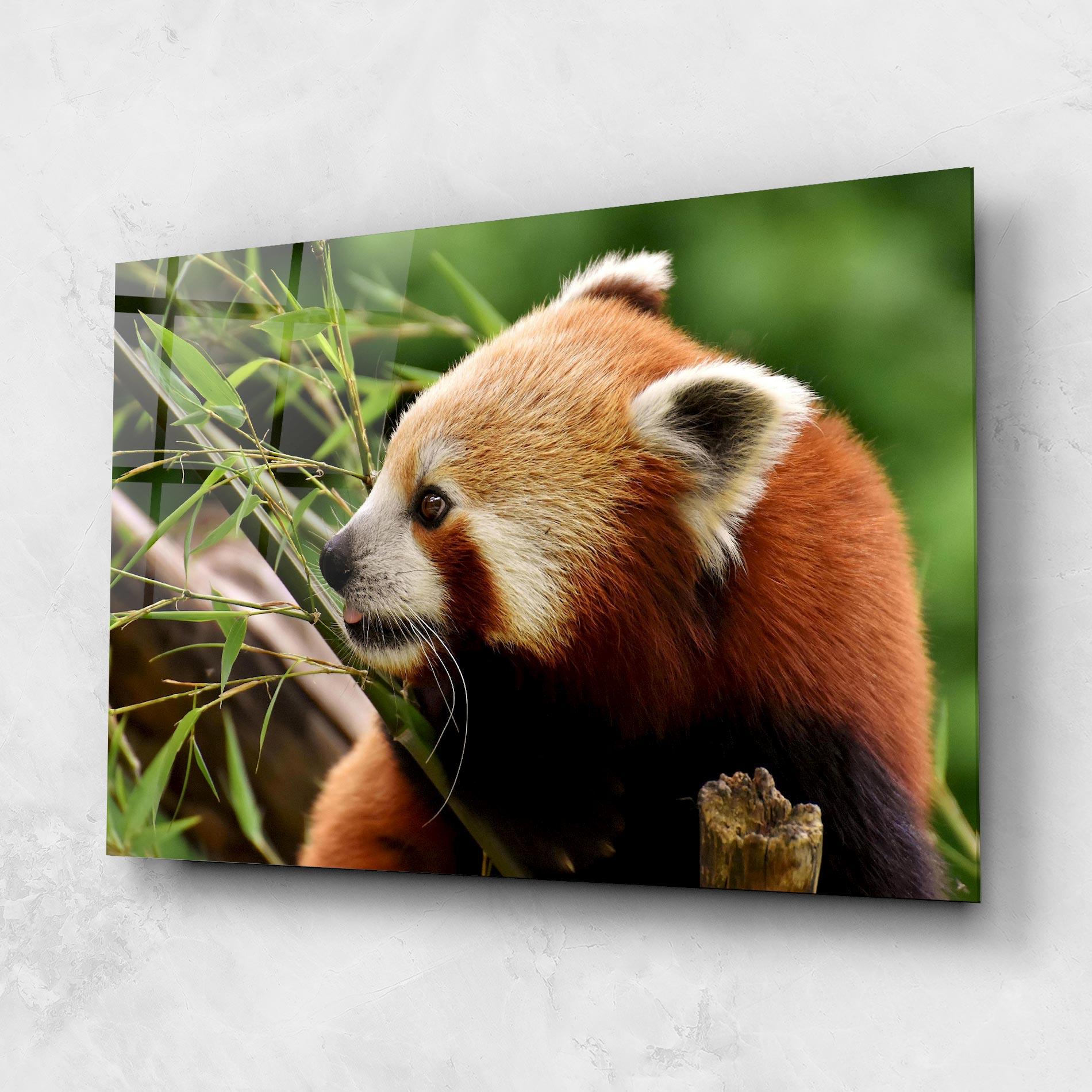 Üvegkép Cute Red Panda mockup 1