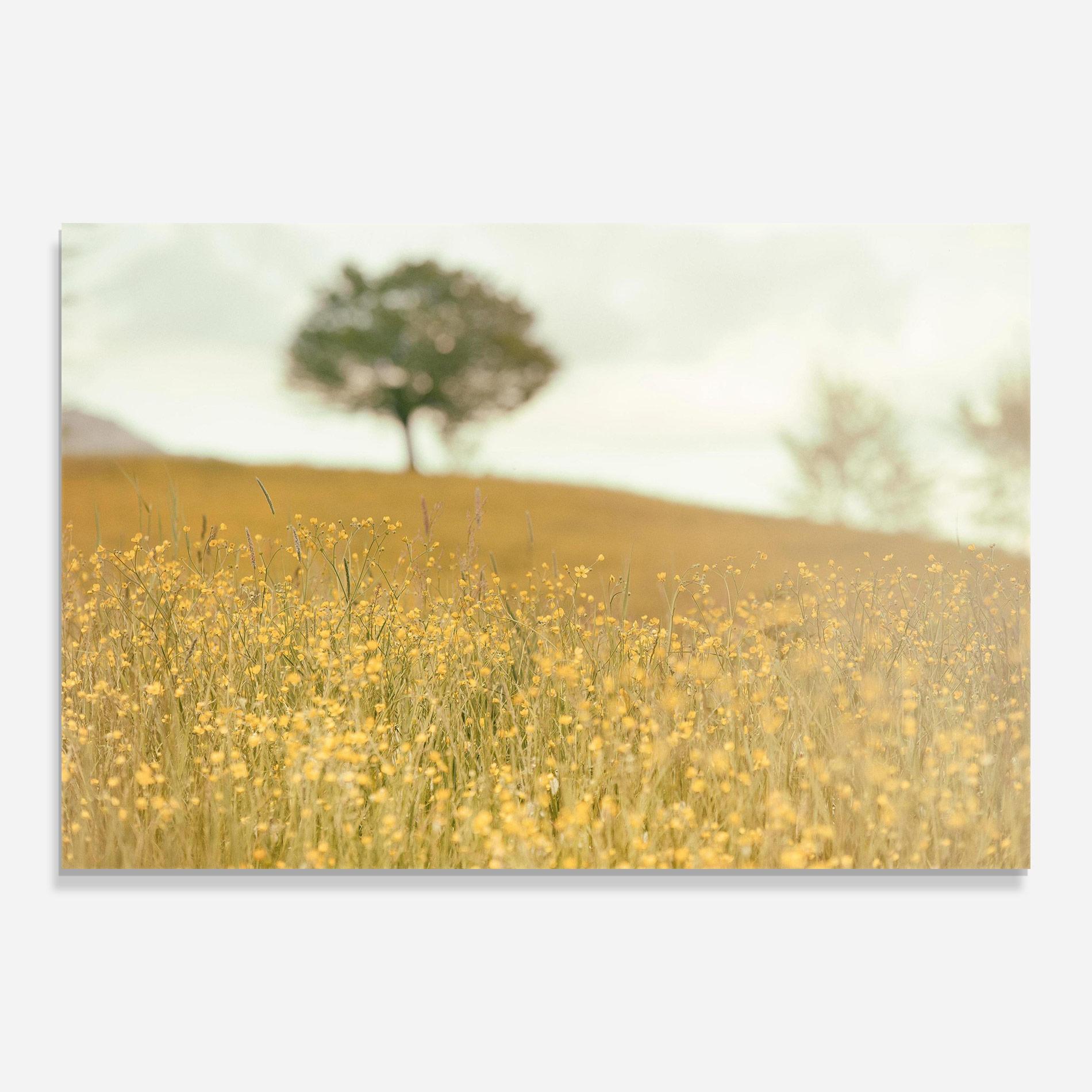Üvegkép Cream Field Nature mockup 0