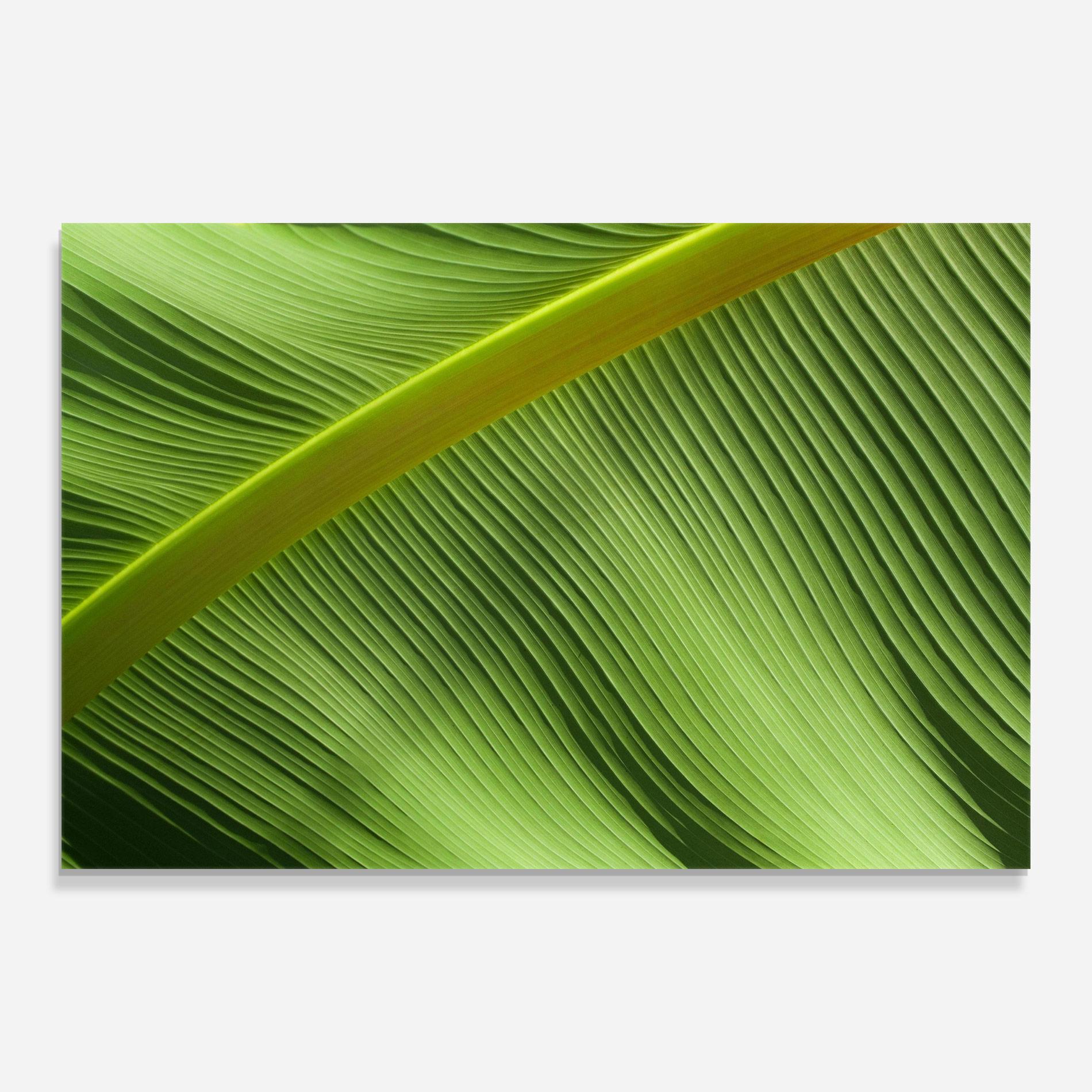 Üvegkép Leaf Green Close Up mockup 0