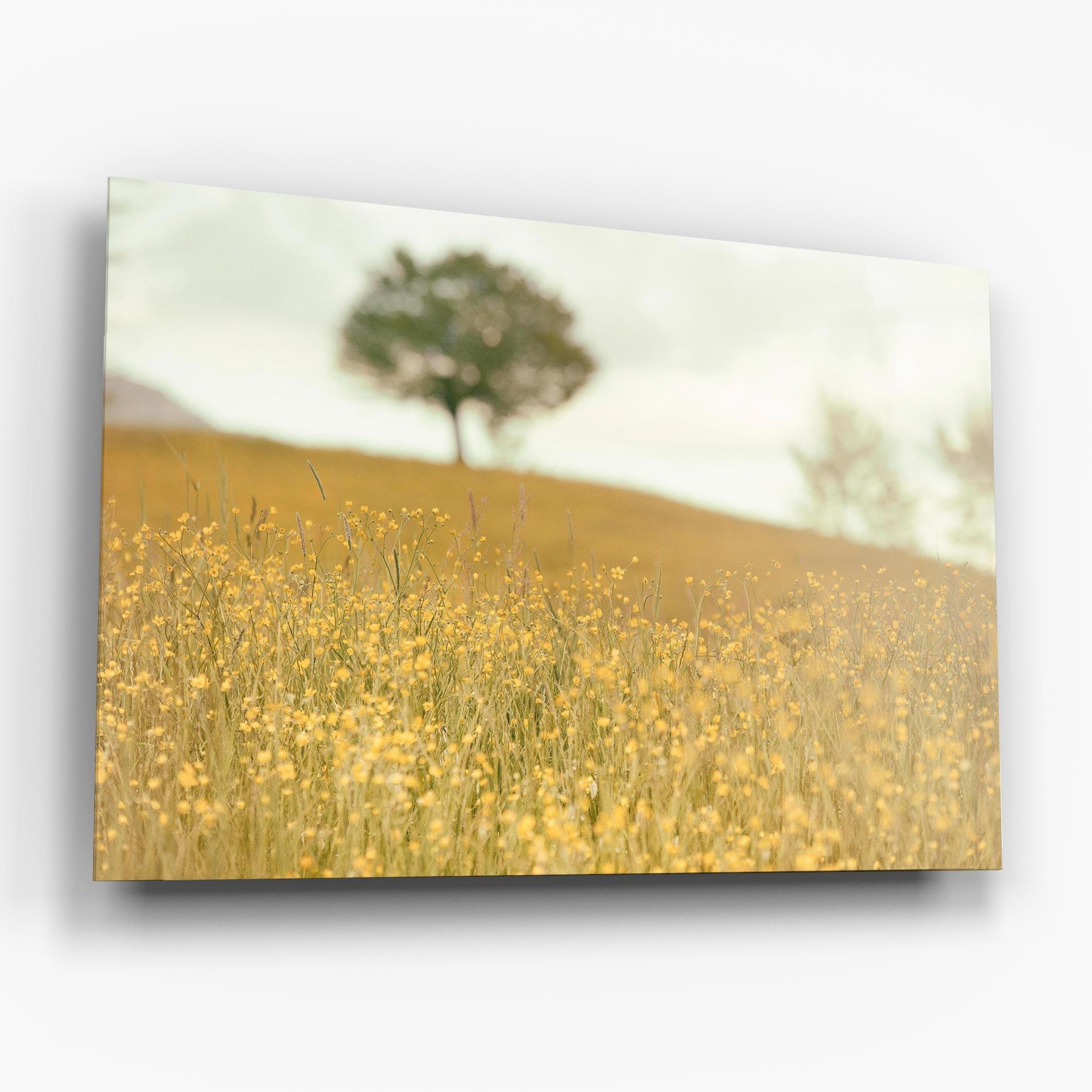 Üvegkép Cream Field Nature mockup 6