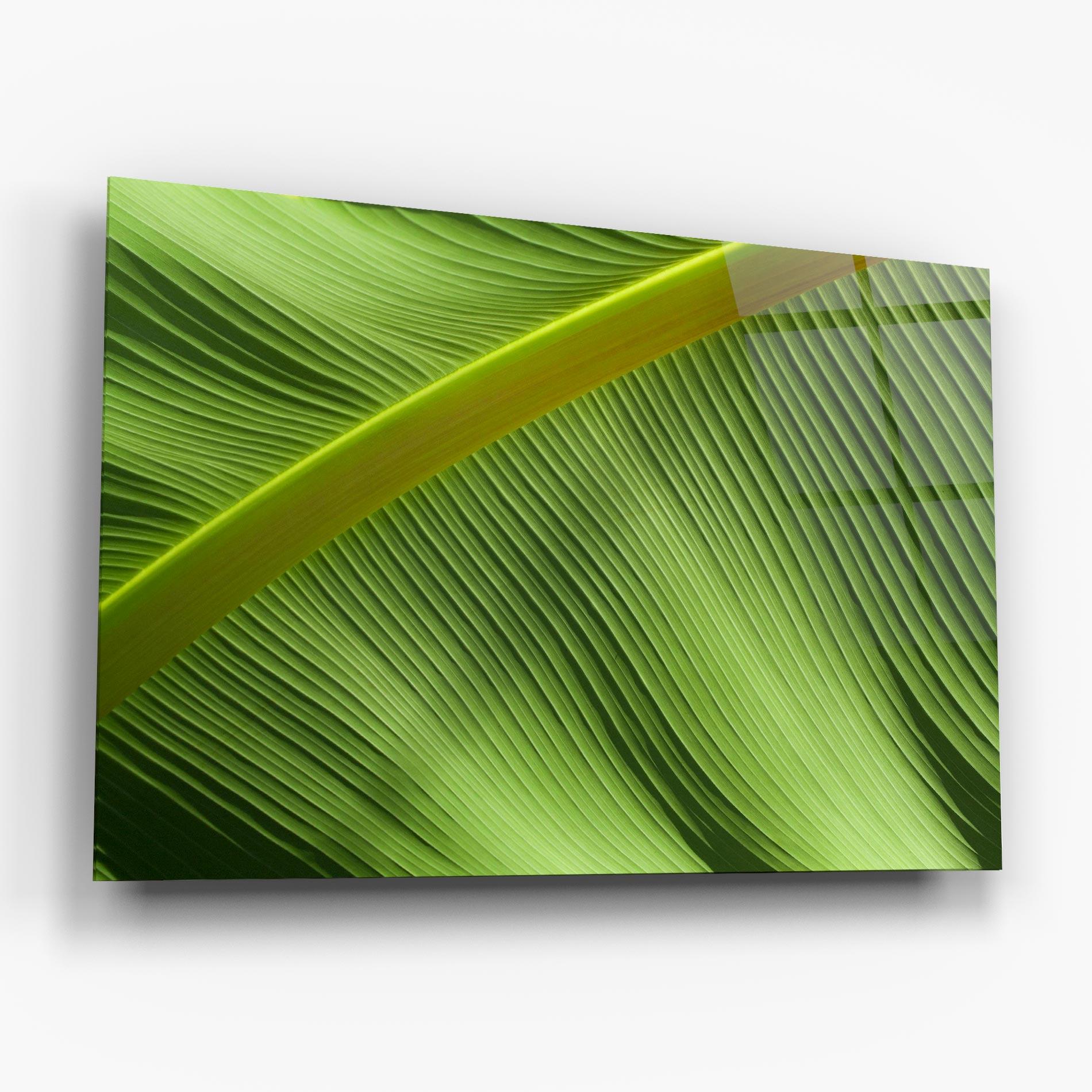 Üvegkép Leaf Green Close Up mockup 6