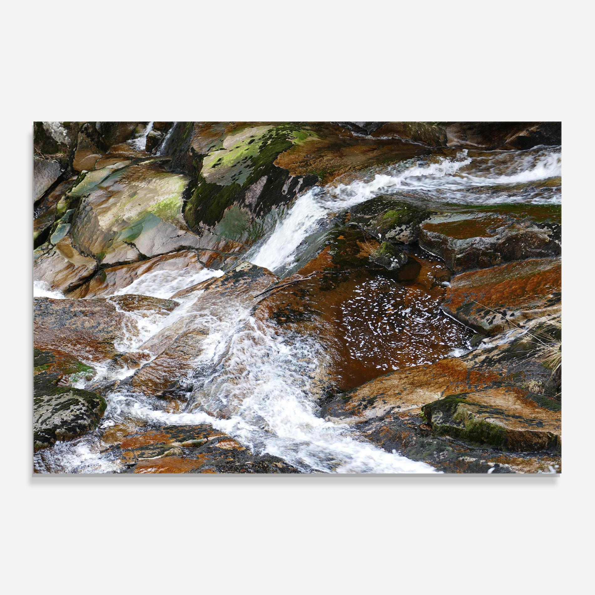 Üvegkép Forest Peace mockup 0