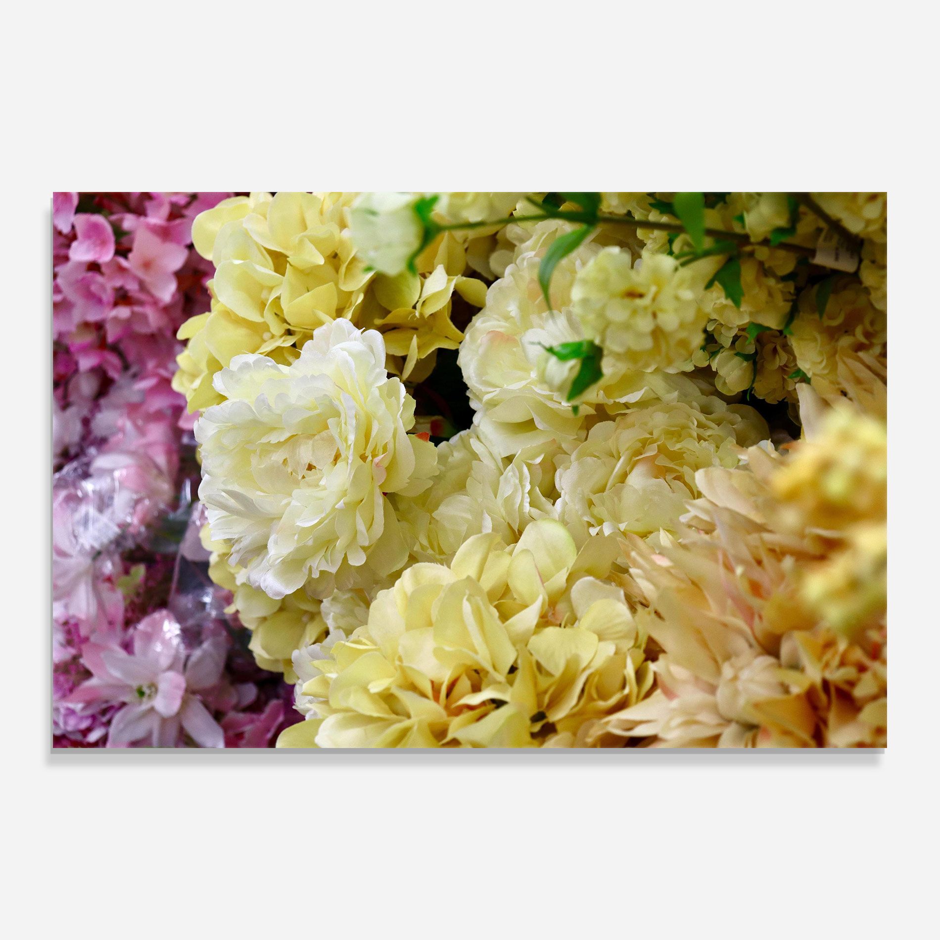 Beautiful Yellow Pastel mockup 0