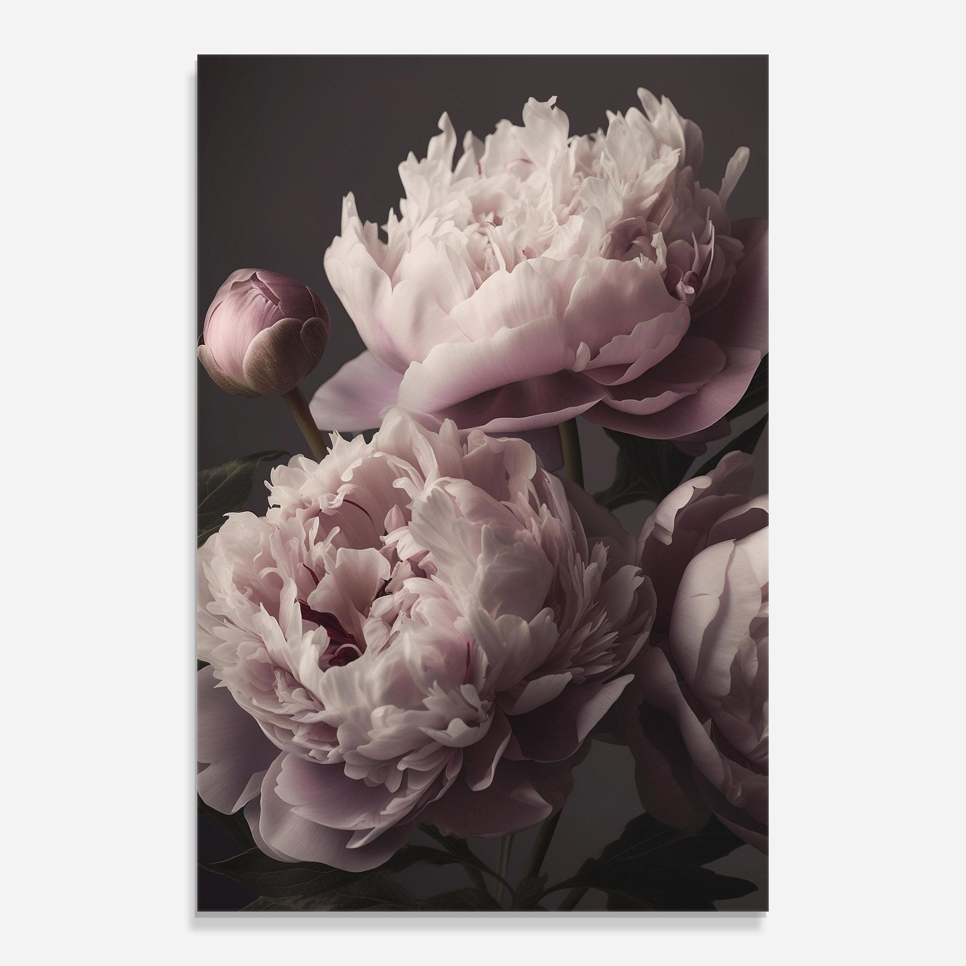 Grey Pastel Pink Peony mockup 0