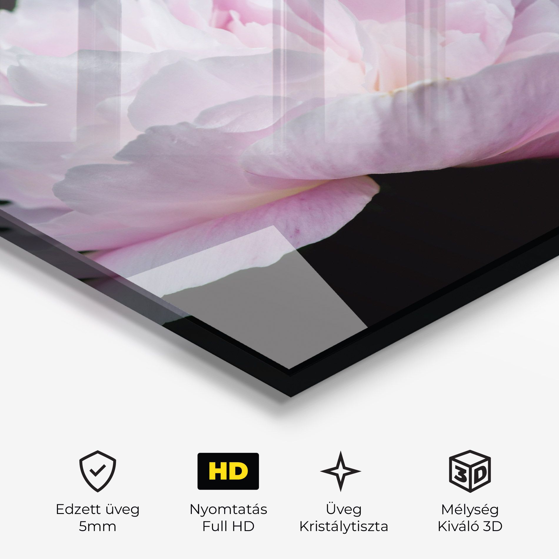 Pastel Peony On Black mockup 3