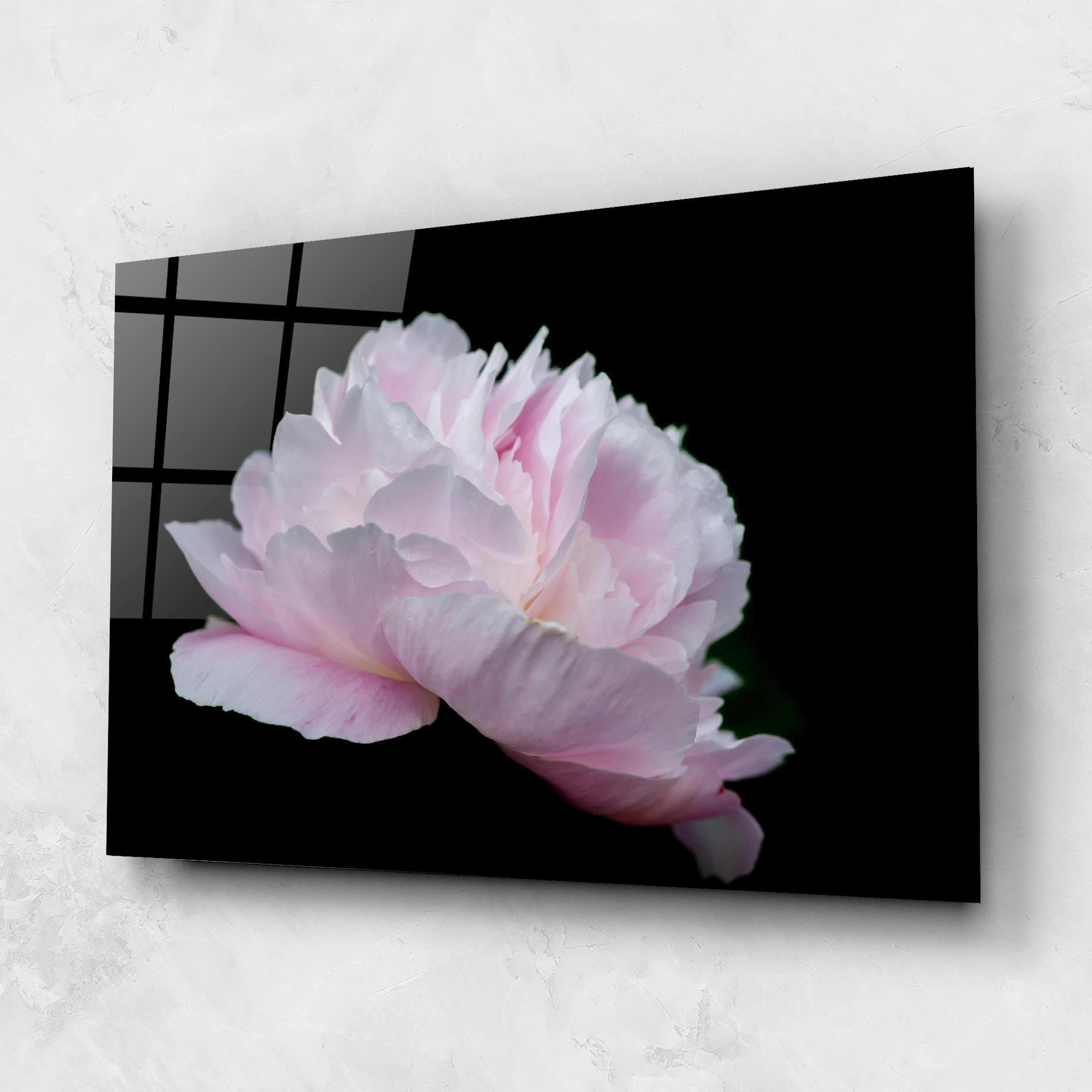 Üvegkép Pastel Peony On Black mockup 1