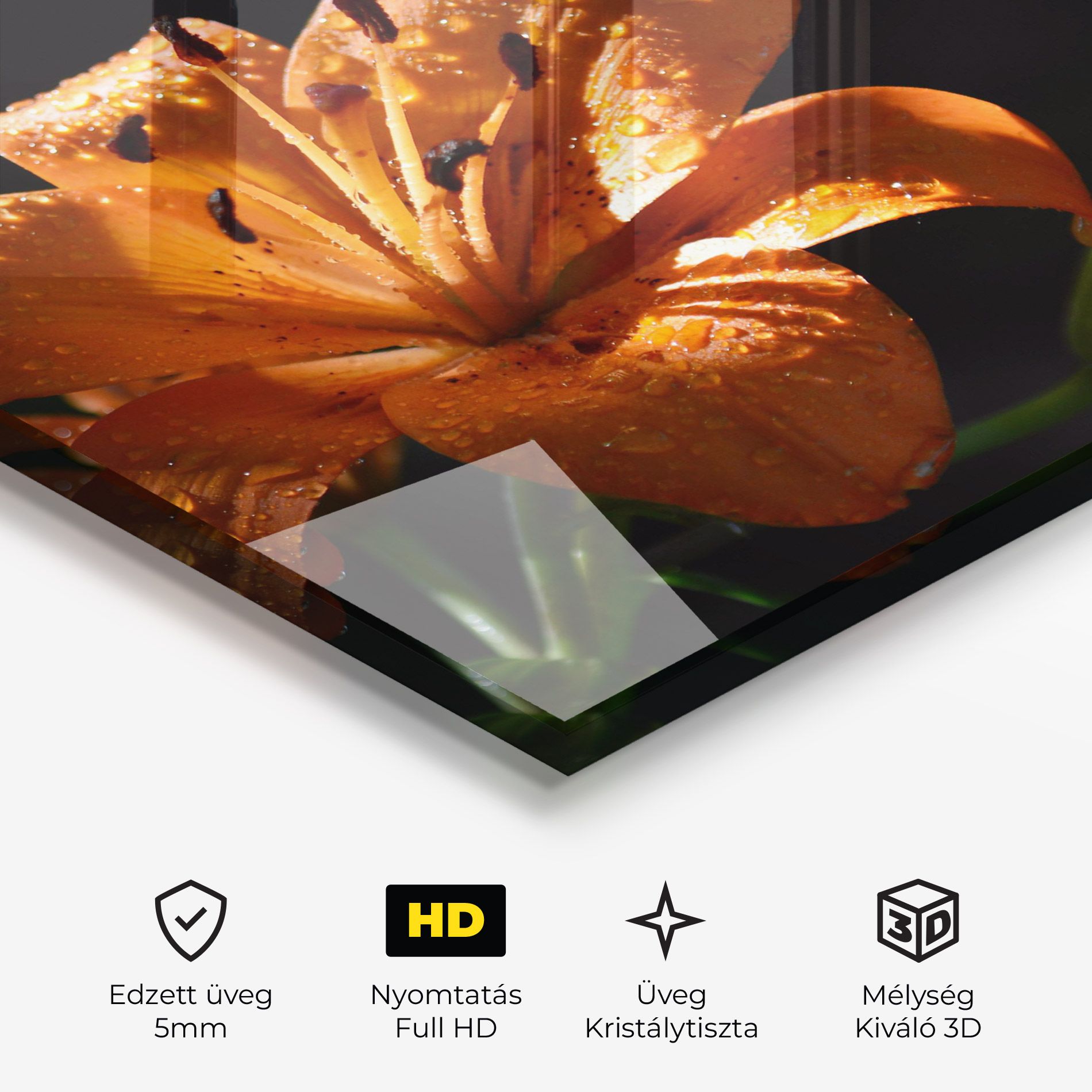 Open Orange Lily On Black mockup 3