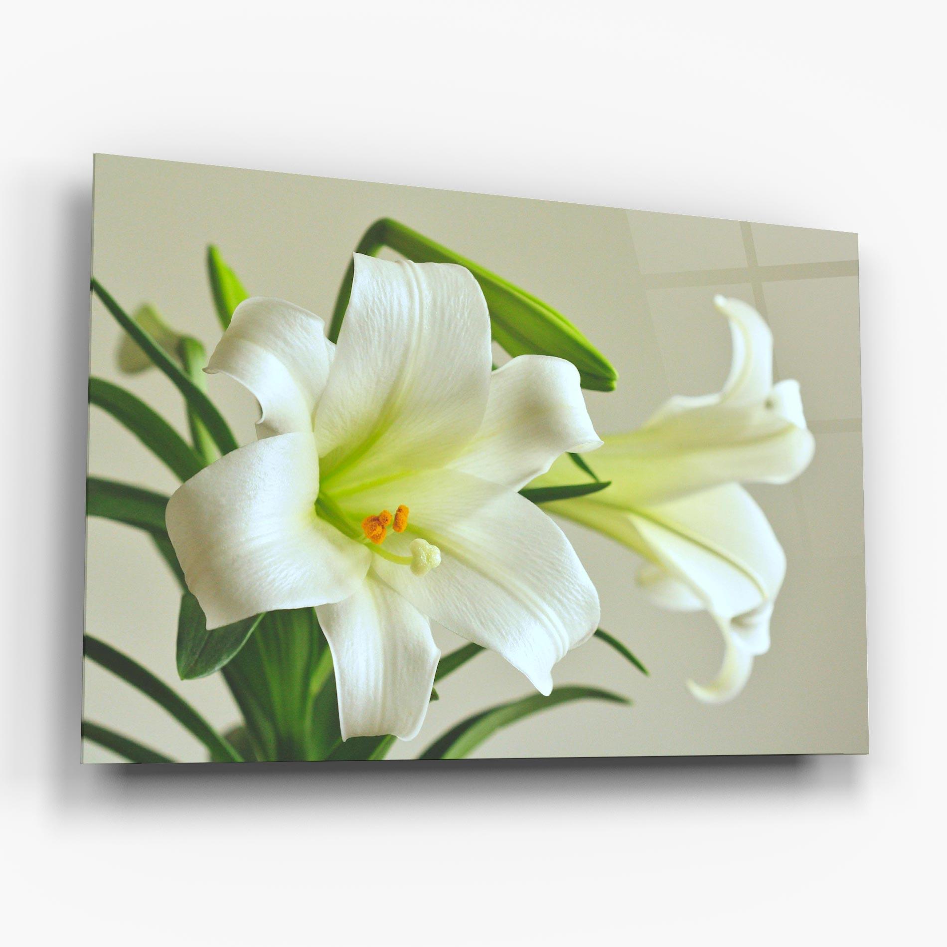Üvegkép Green Lily mockup 6