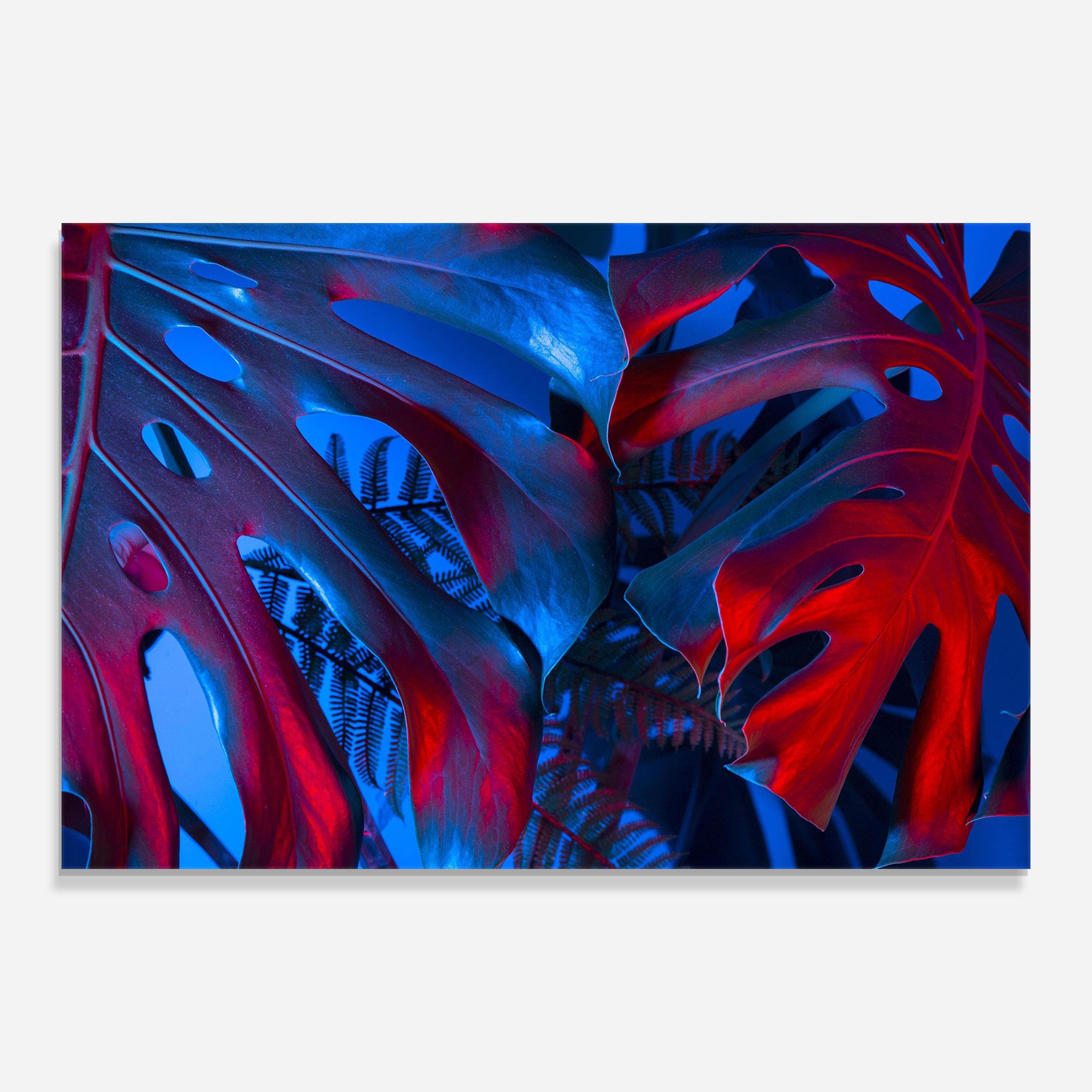 Exotic Blue Leaf mockup 0