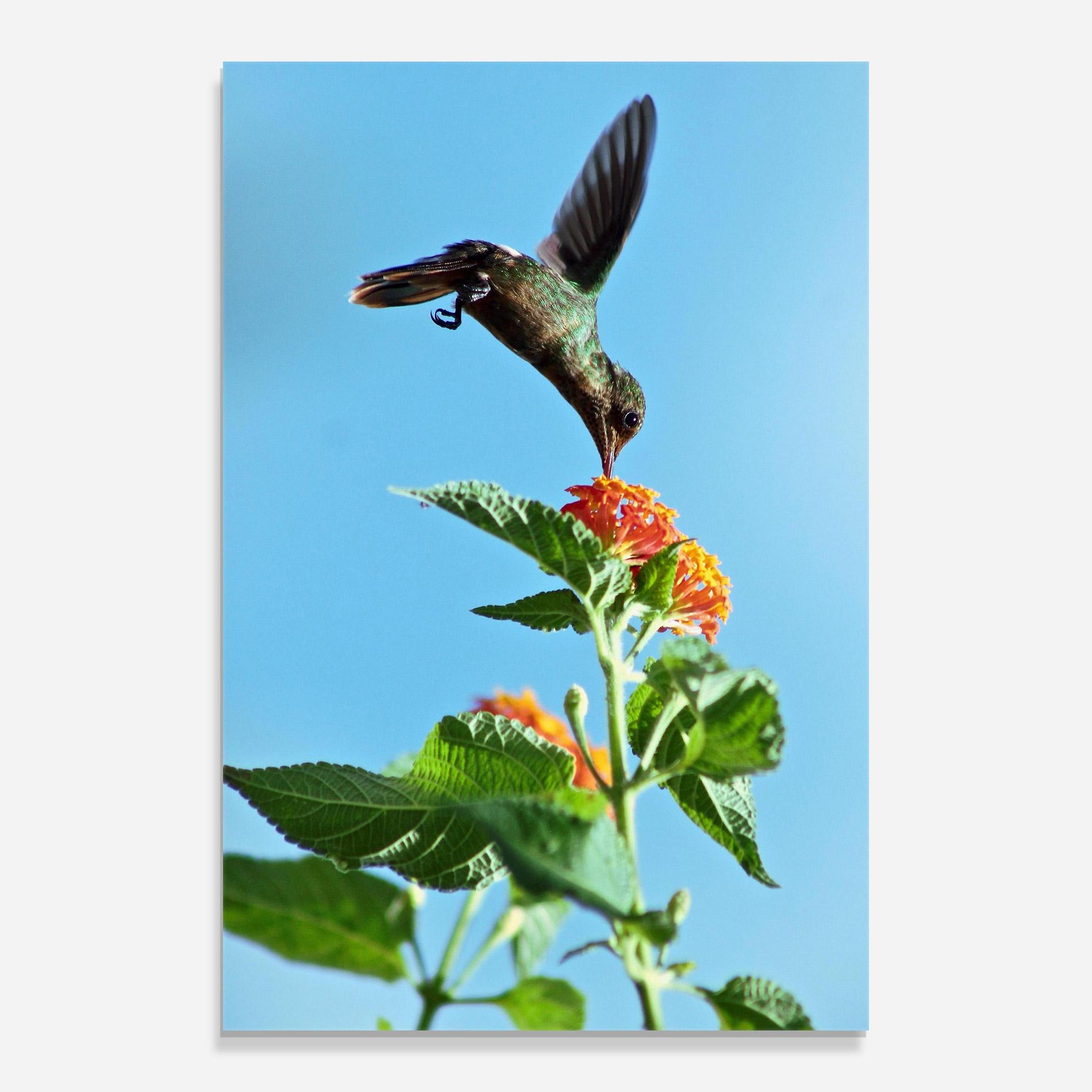 Üvegkép Bird Exotic Flower mockup 0