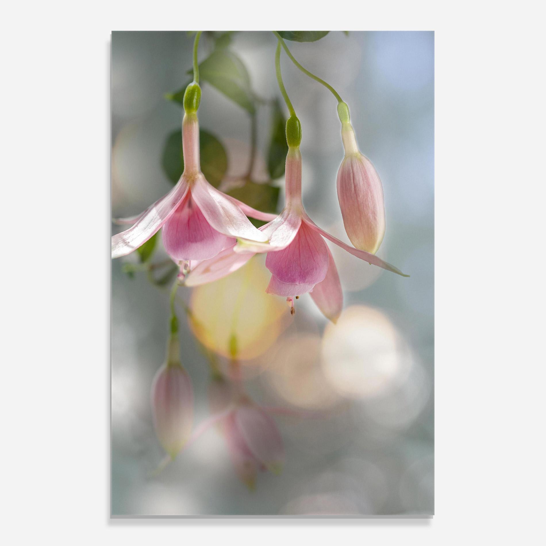 Üvegkép Dreamy Pink Exotic mockup 0