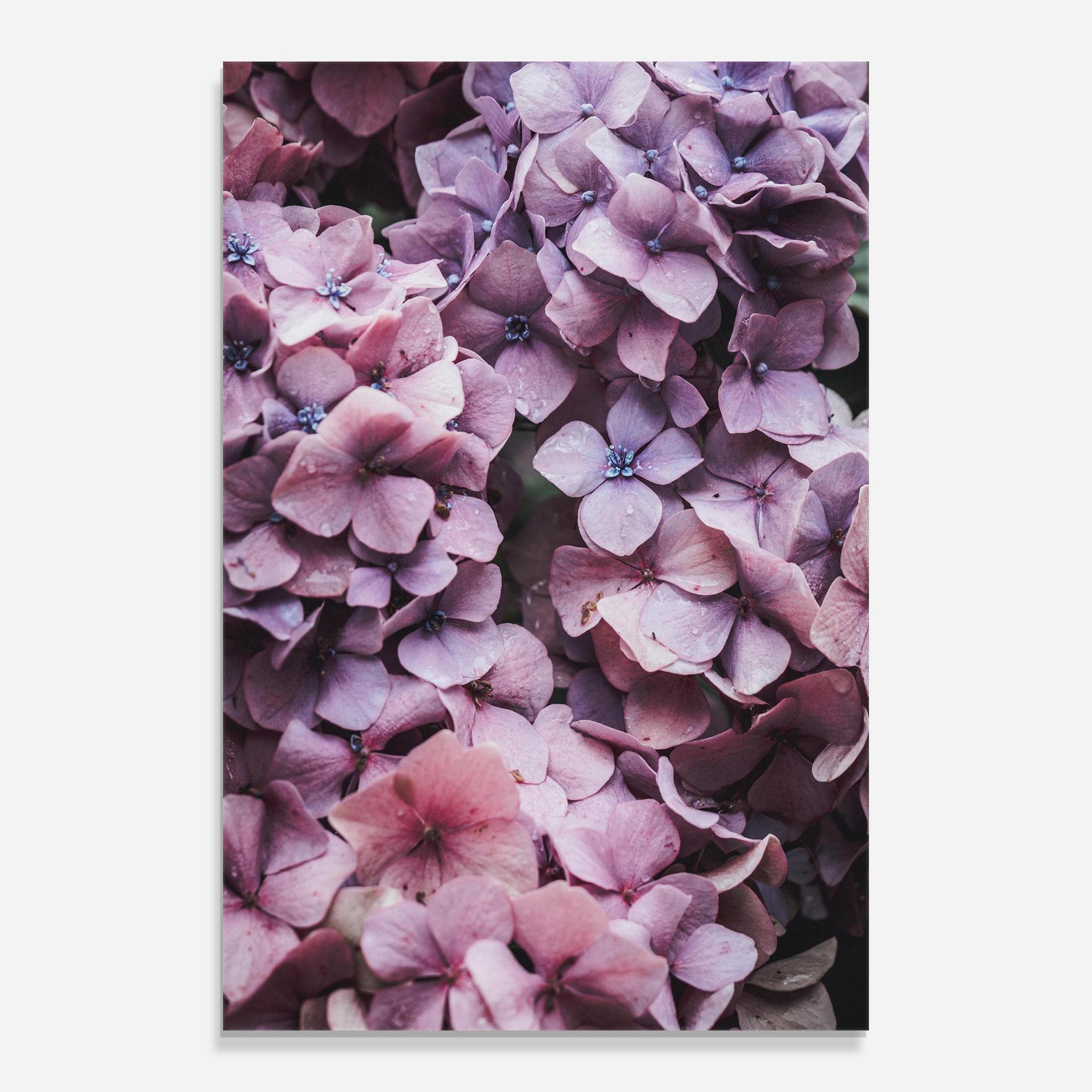 Üvegkép Lilac Tree mockup 0