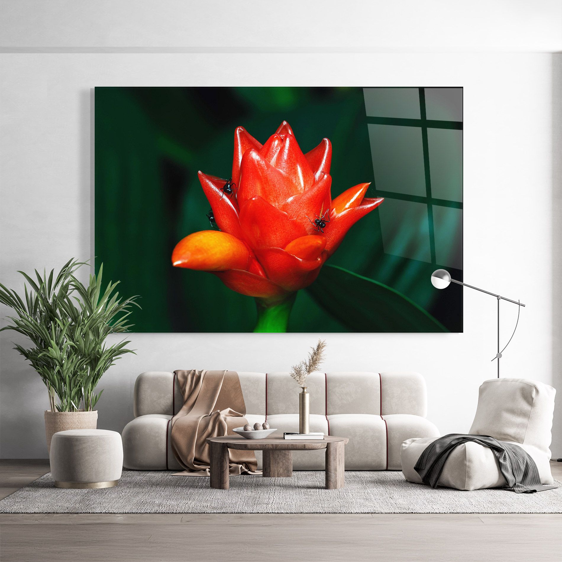 Cool Orange Exotic mockup 9