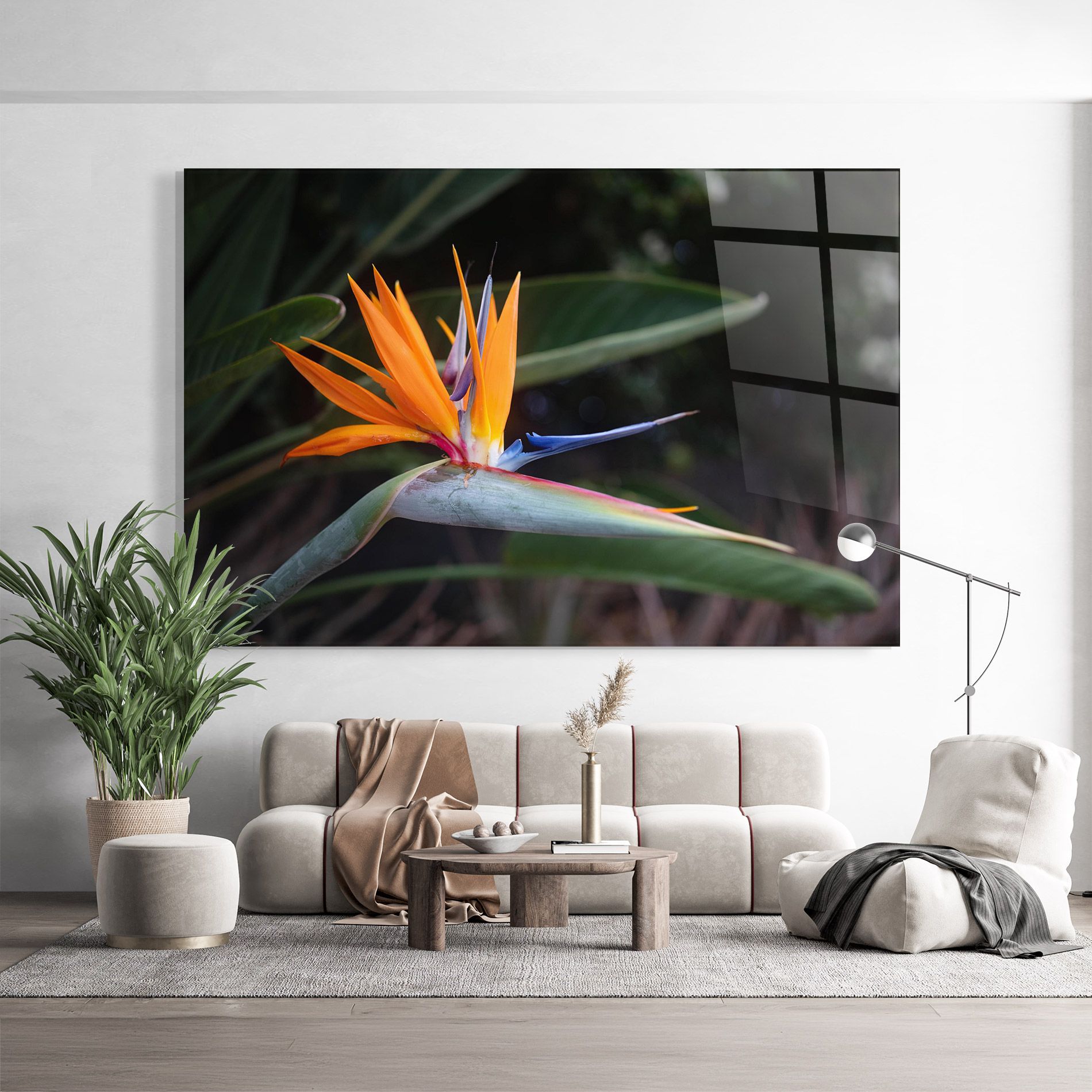 Paradise Plant mockup 9