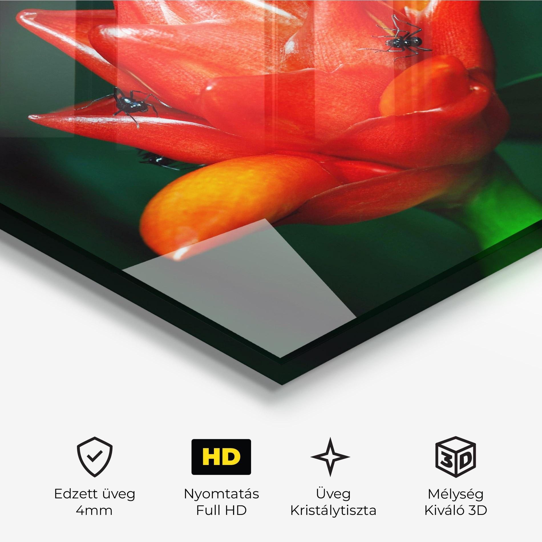 Üvegkép Cool Orange Exotic mockup 3