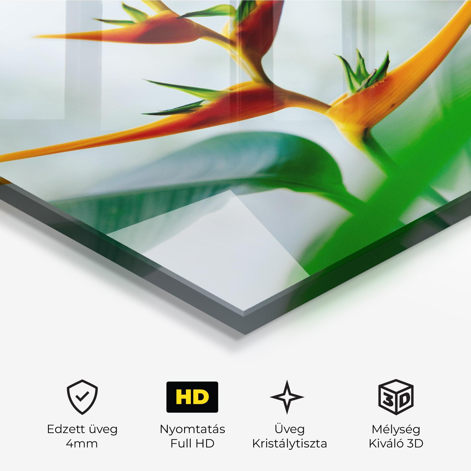 Üvegkép Exotic Orange Green mockup 3