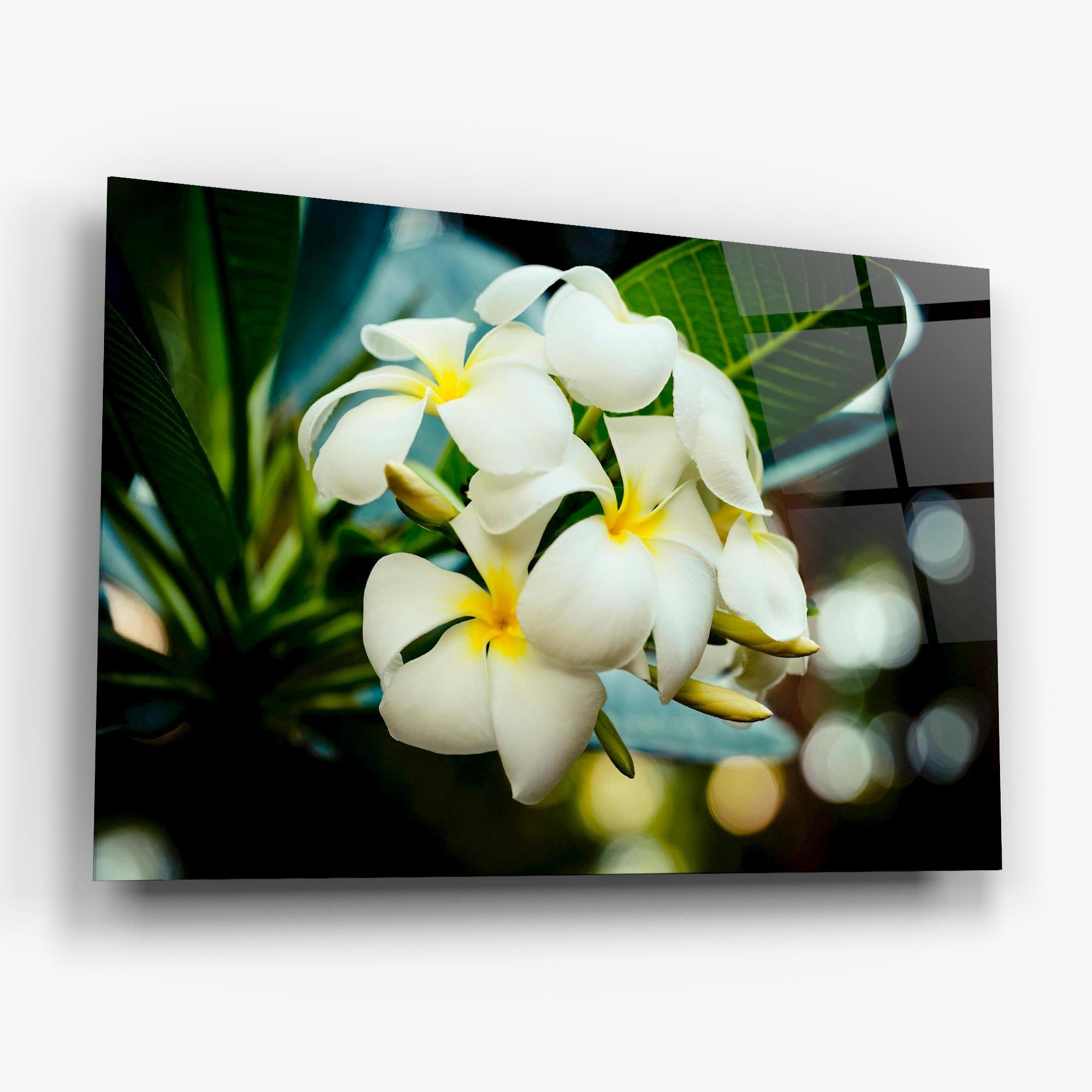 Üvegkép Beautiful White Exotic mockup 6
