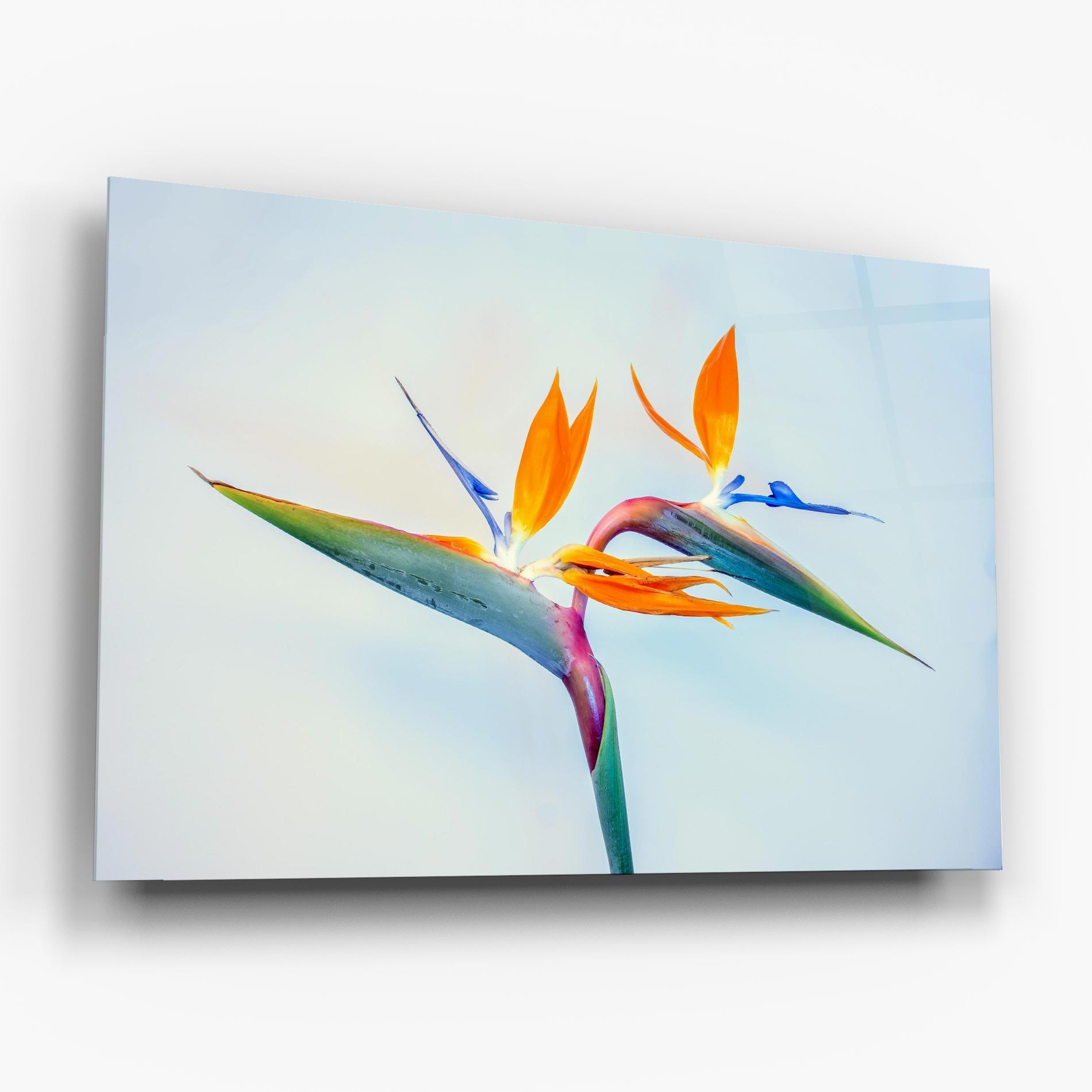 Üvegkép Green Orange Exotic mockup 6