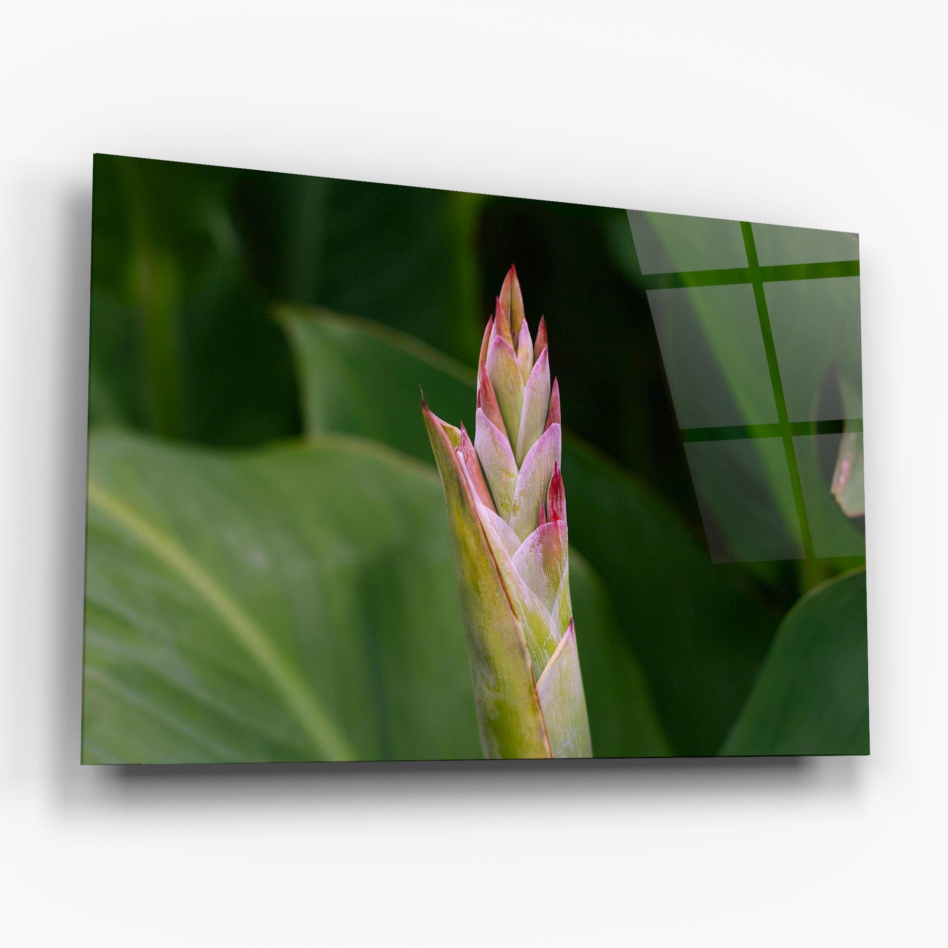 Üvegkép Light Pink Exotic mockup 6