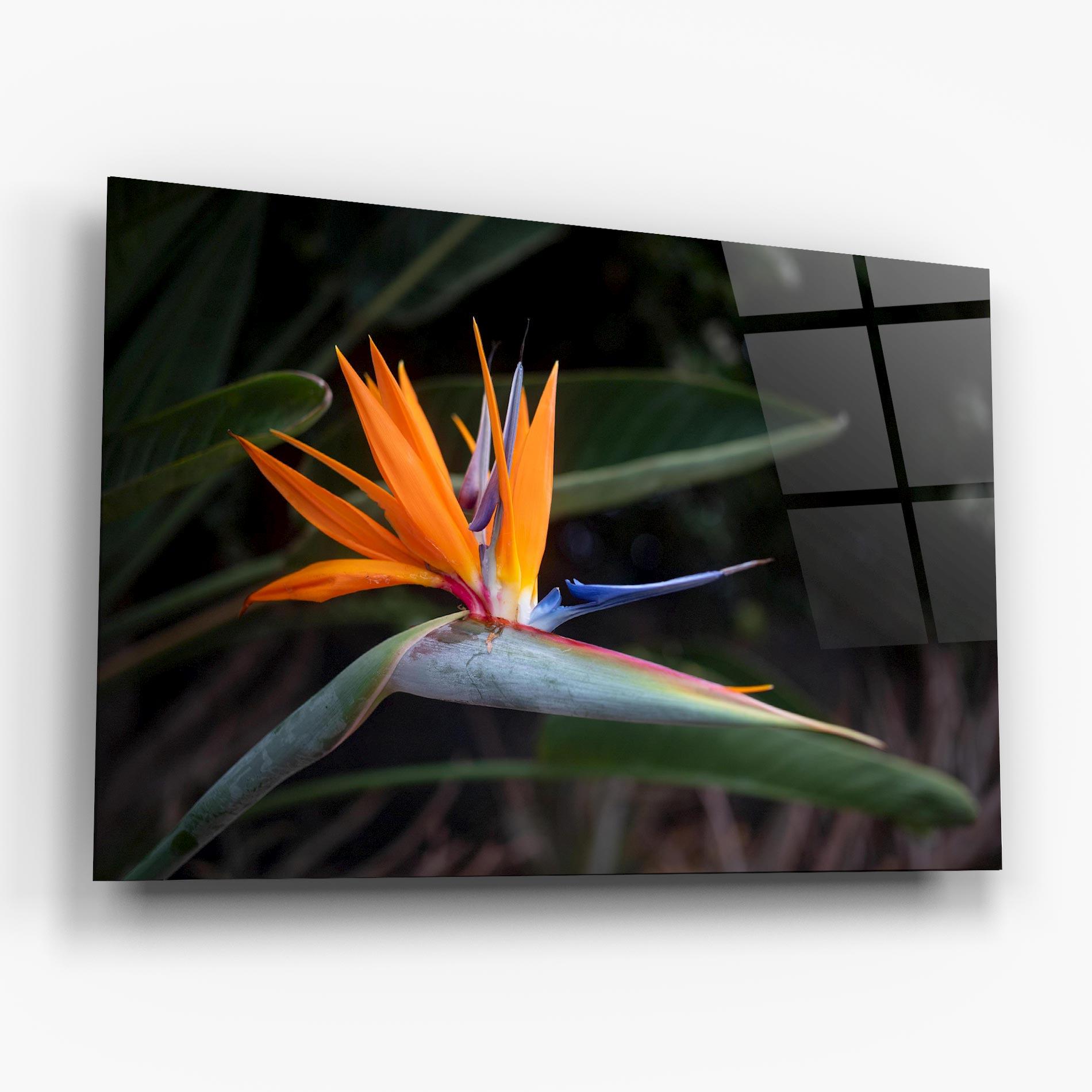 Üvegkép Paradise Plant mockup 6