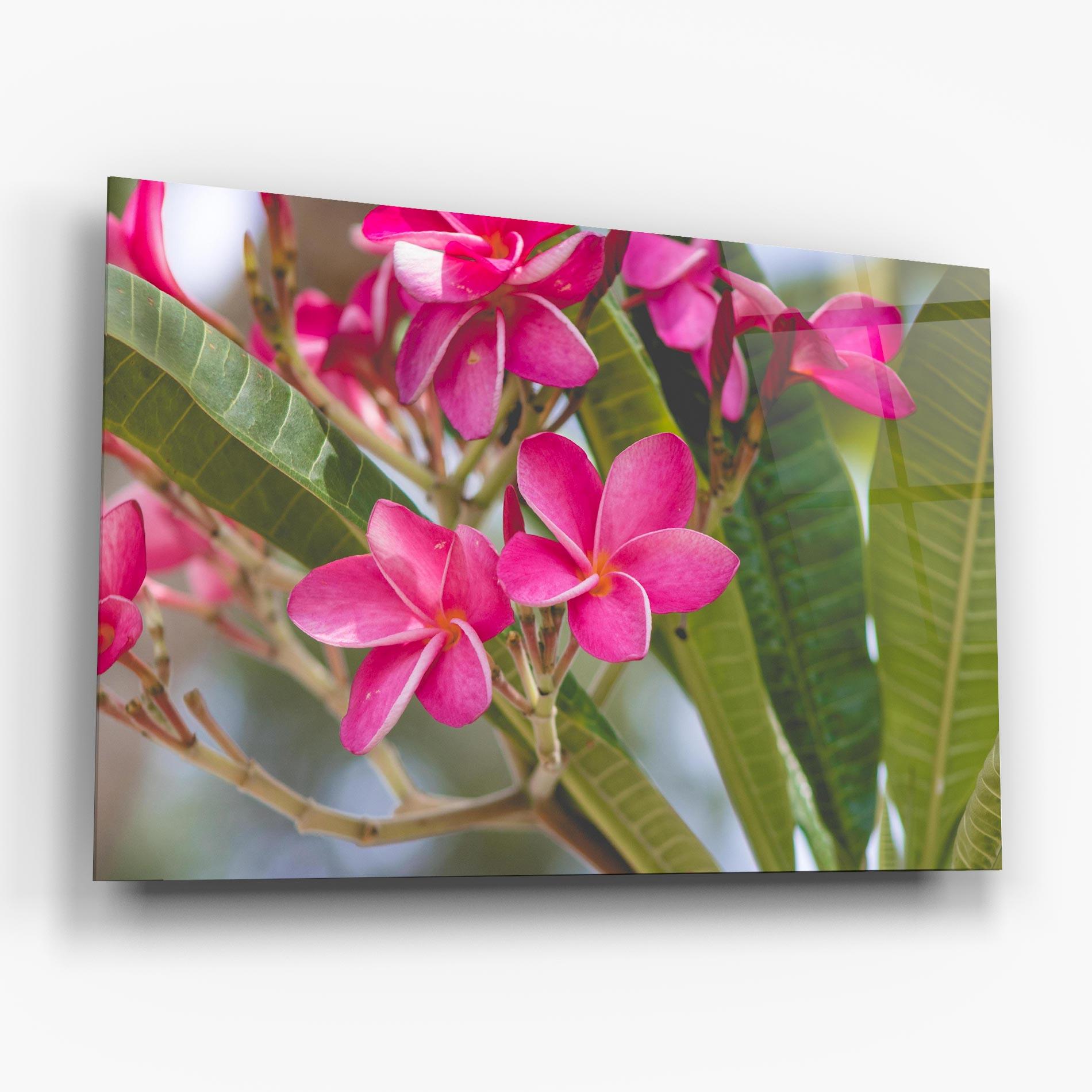 Üvegkép Pink Exotic Flowers mockup 6