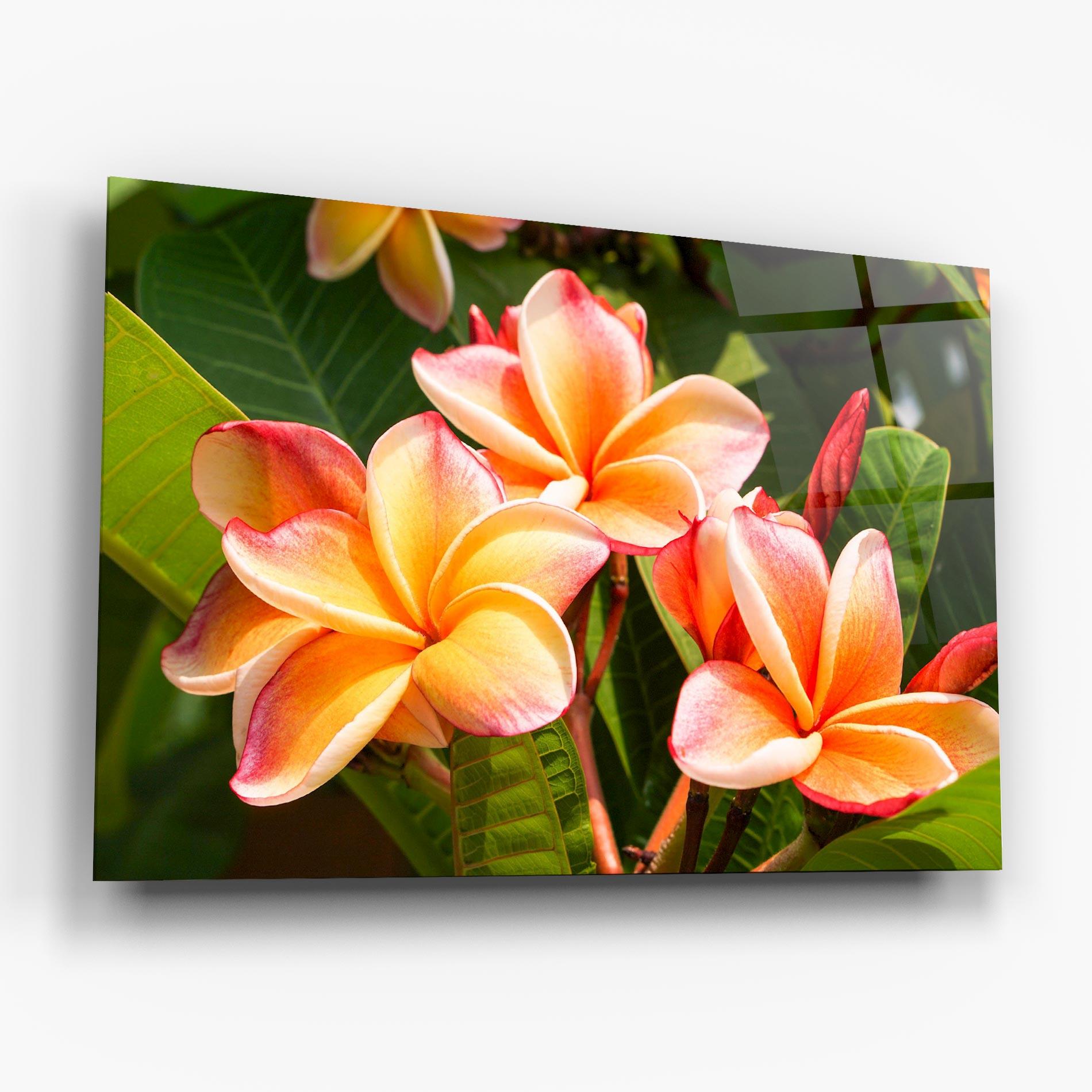 Üvegkép Pretty Plumeria mockup 6
