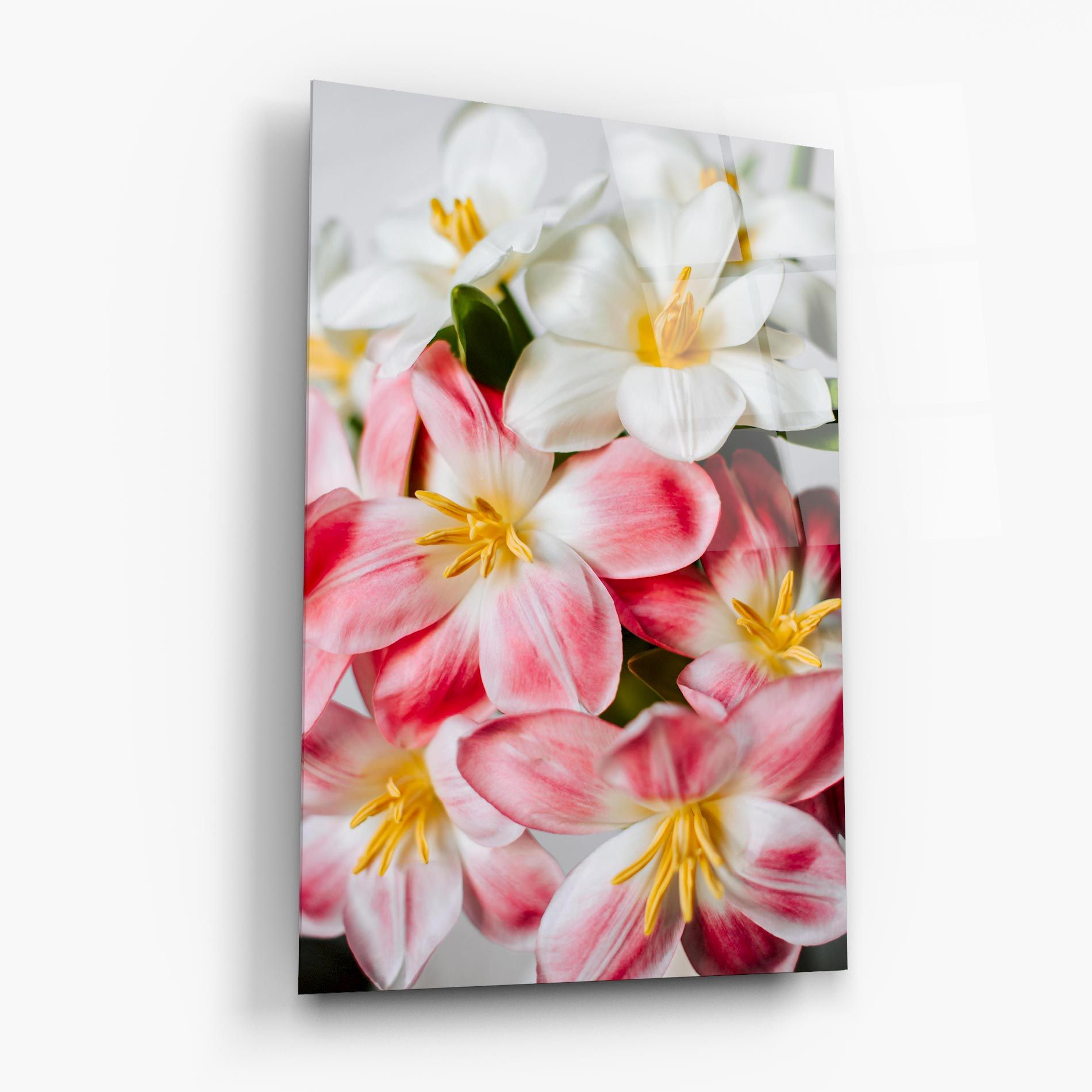 Beautiful Exotic Flower mockup 6