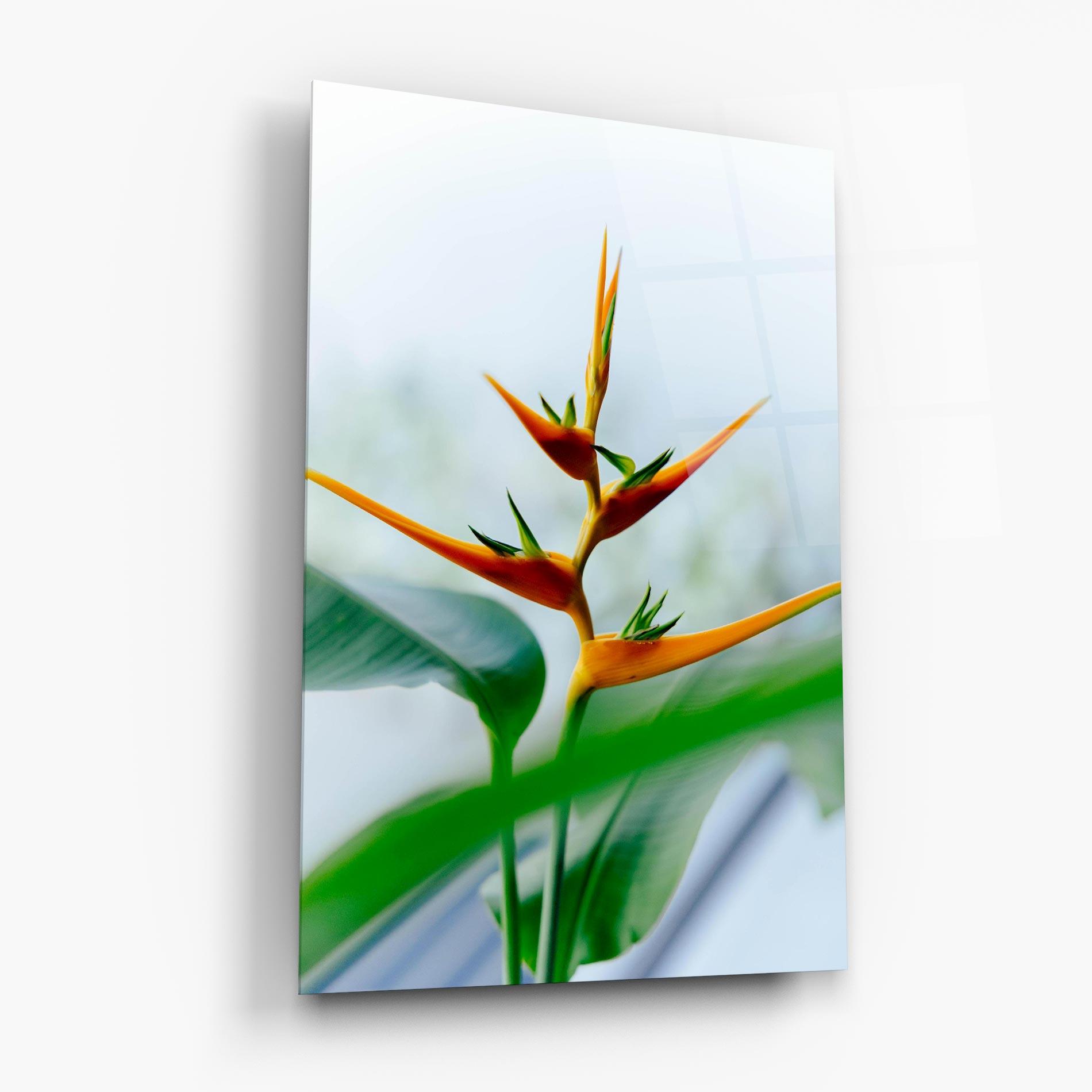 Üvegkép Exotic Orange Green mockup 6