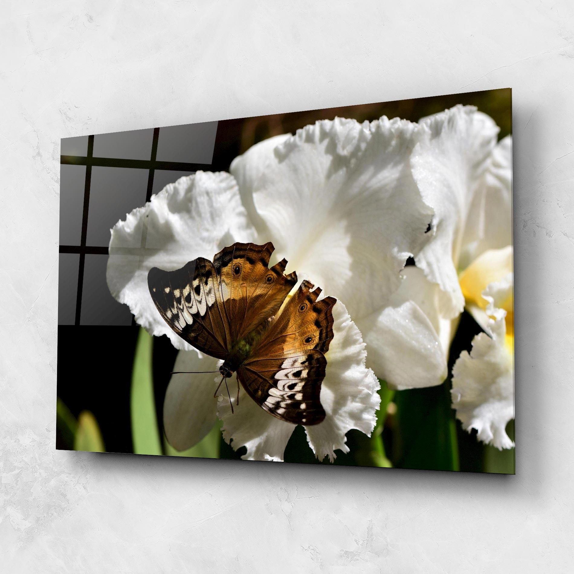 Üvegkép Butterfly Exotic Plant mockup 1
