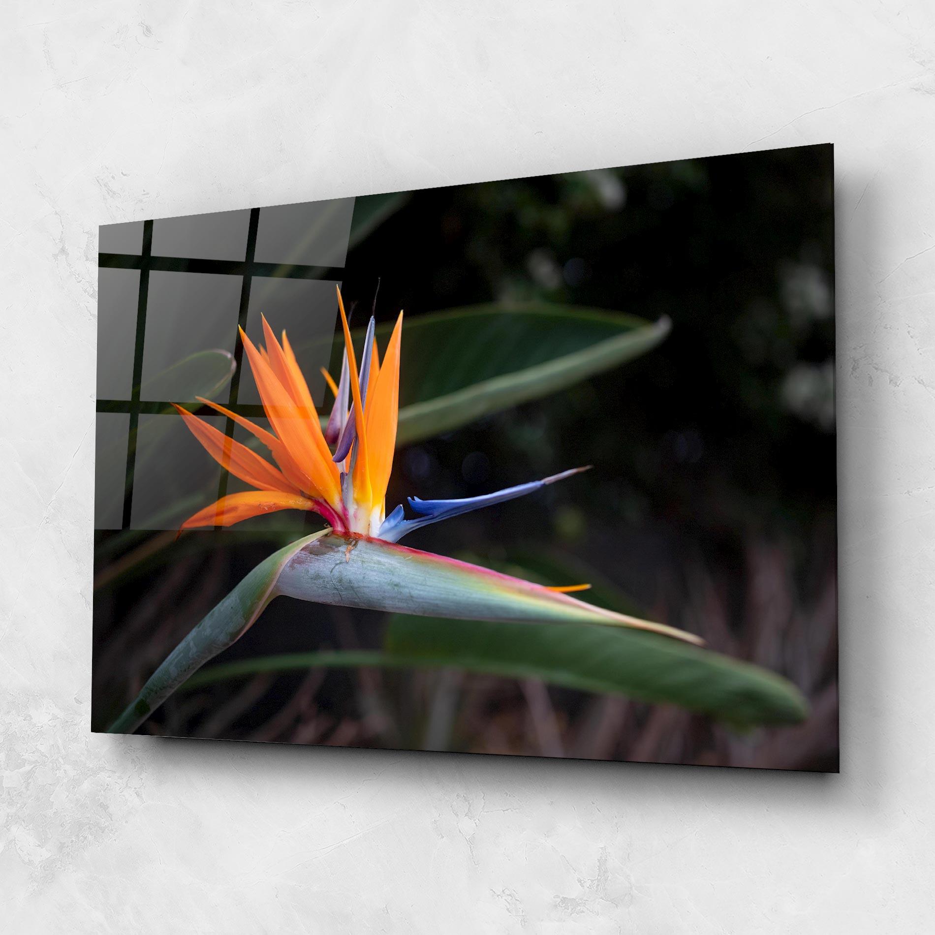 Üvegkép Paradise Plant mockup 1