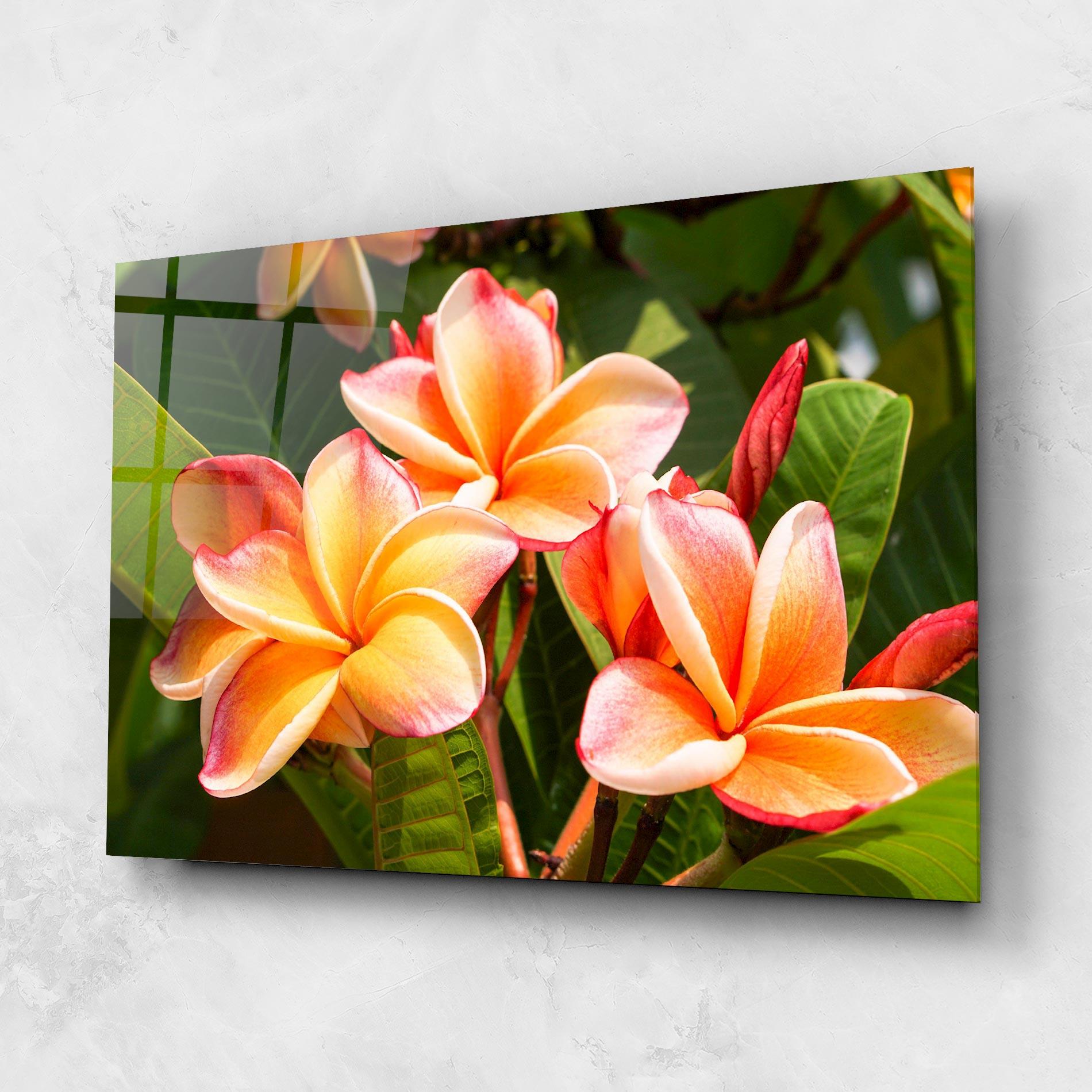 Üvegkép Pretty Plumeria mockup 1