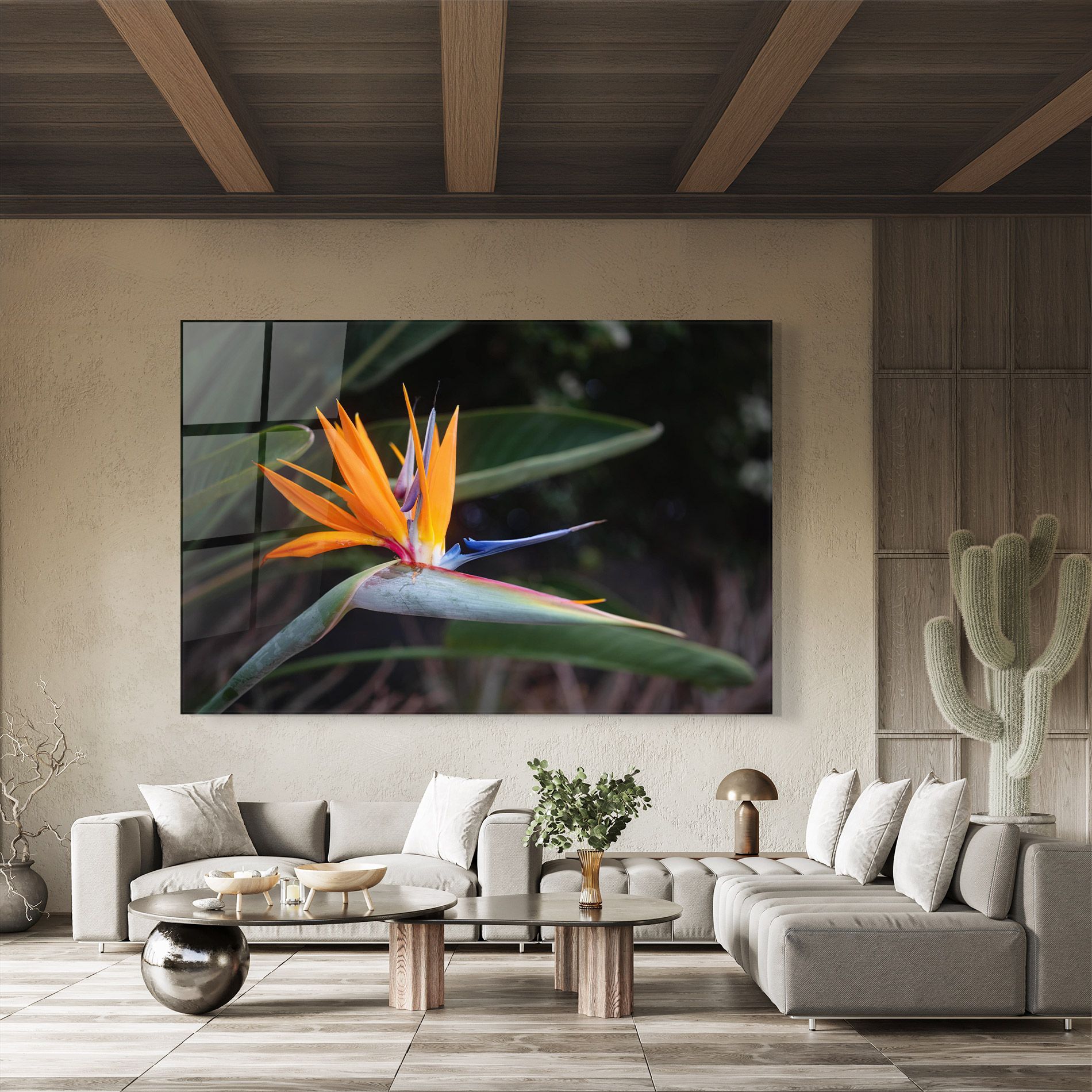 Paradise Plant mockup 8