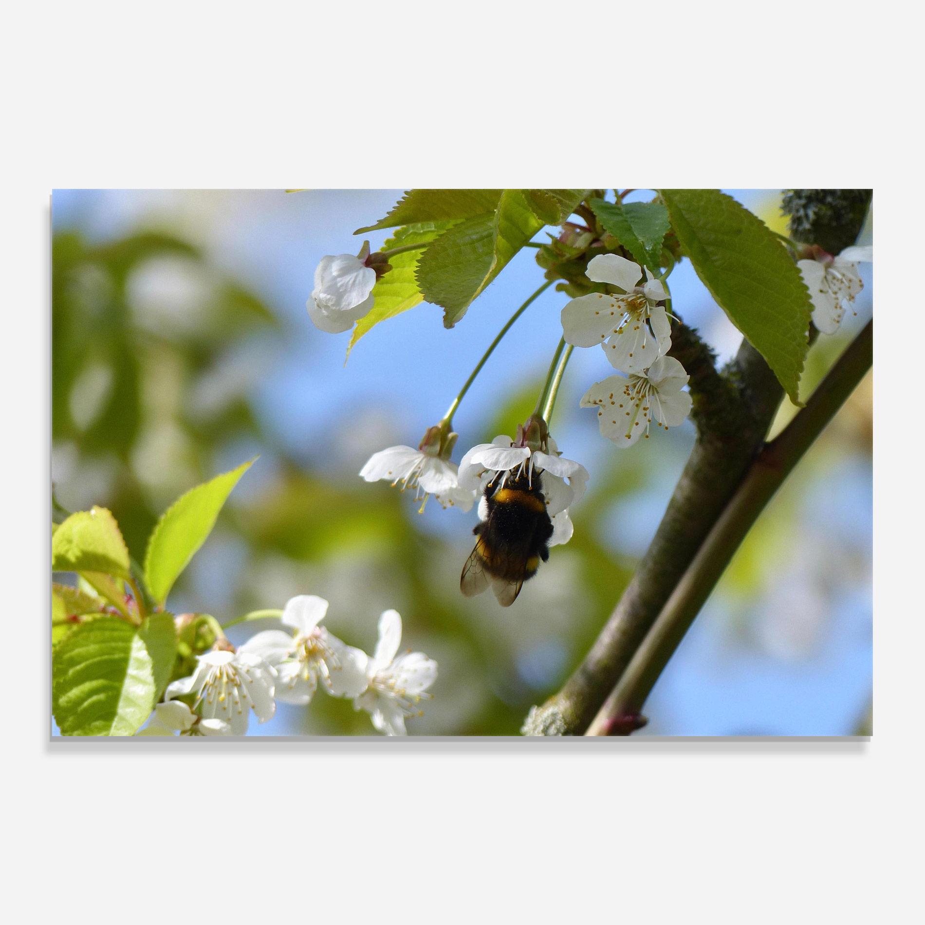 Üvegkép Bee Wild Tree mockup 0