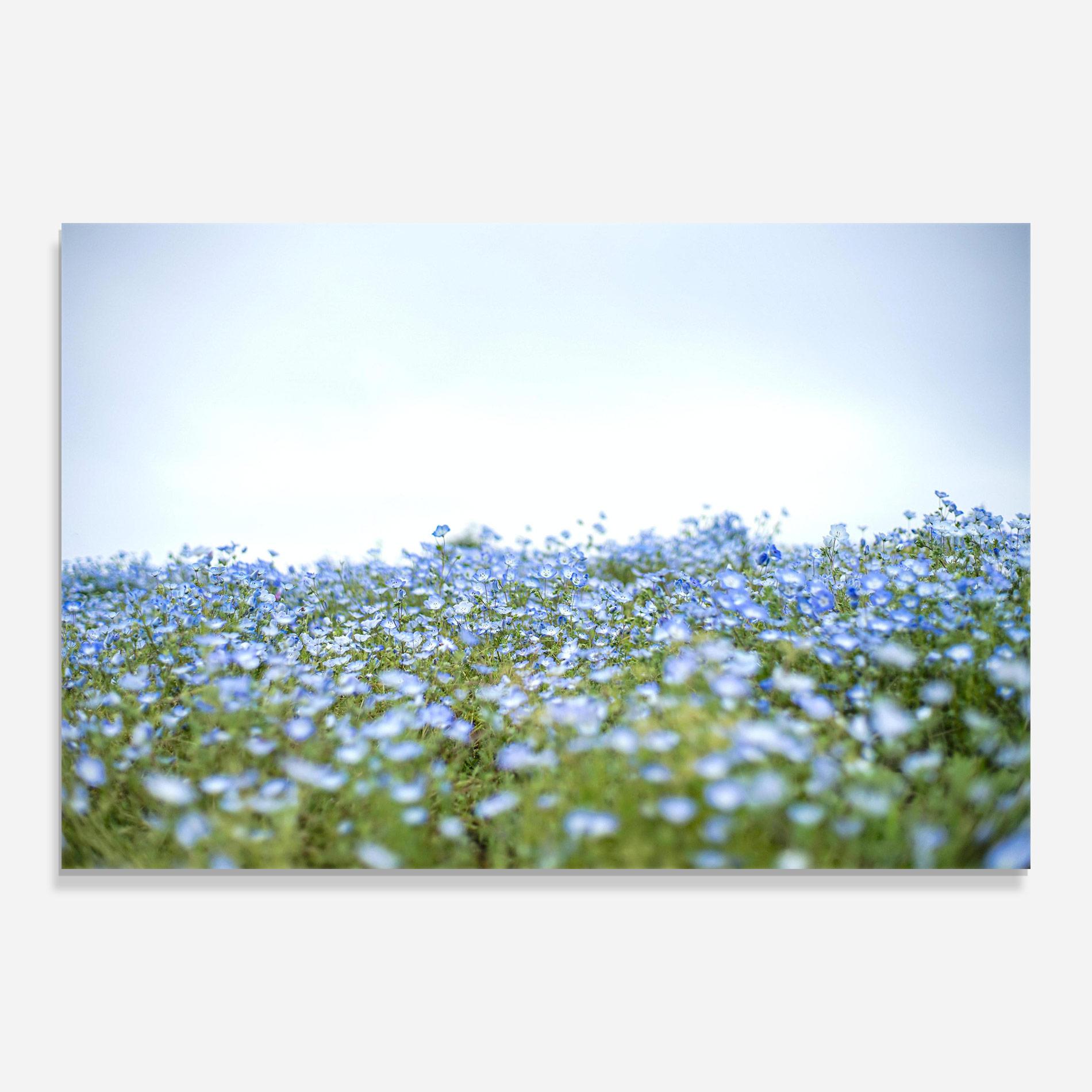Üvegkép Blue Wild Flowers mockup 0