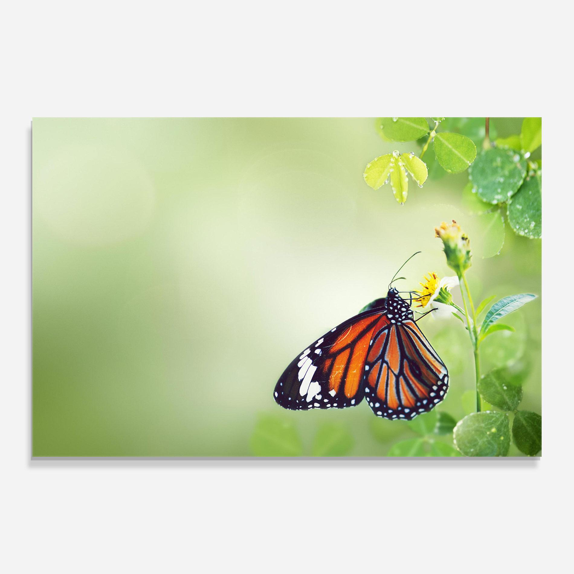 Üvegkép Butterfly Wild Plant mockup 0