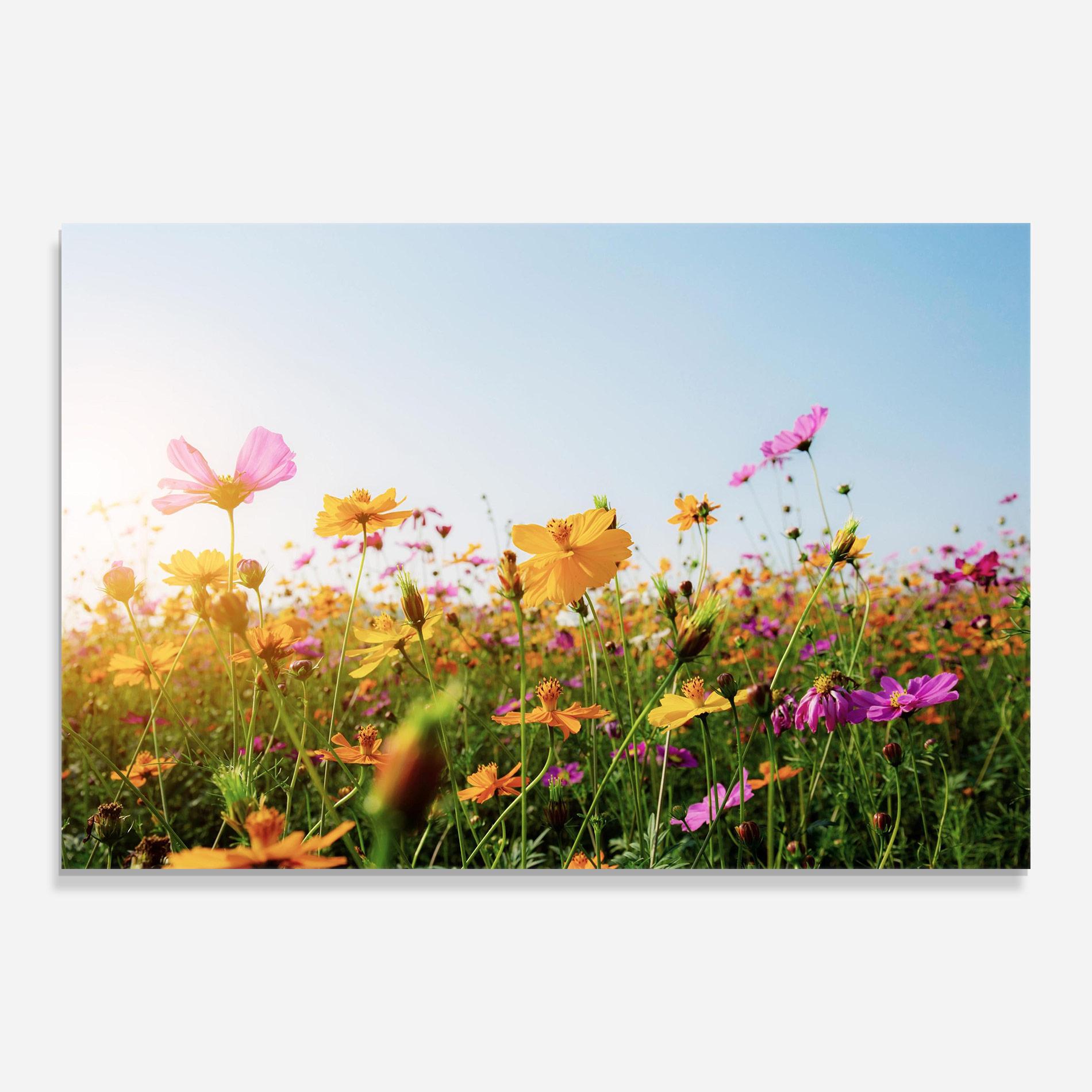 Üvegkép Cosmos Field Sunset mockup 0