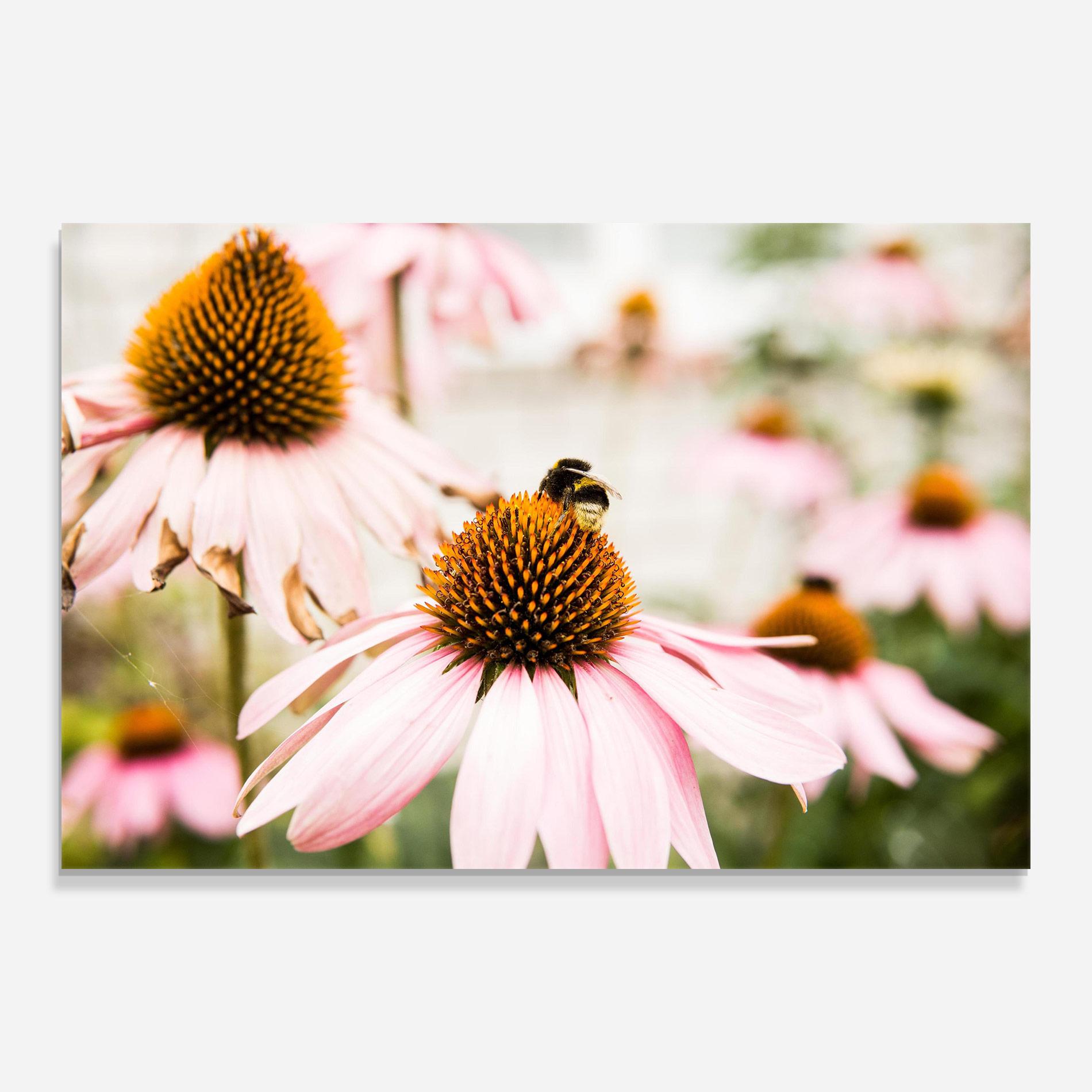 Üvegkép Daylight Flower mockup 0