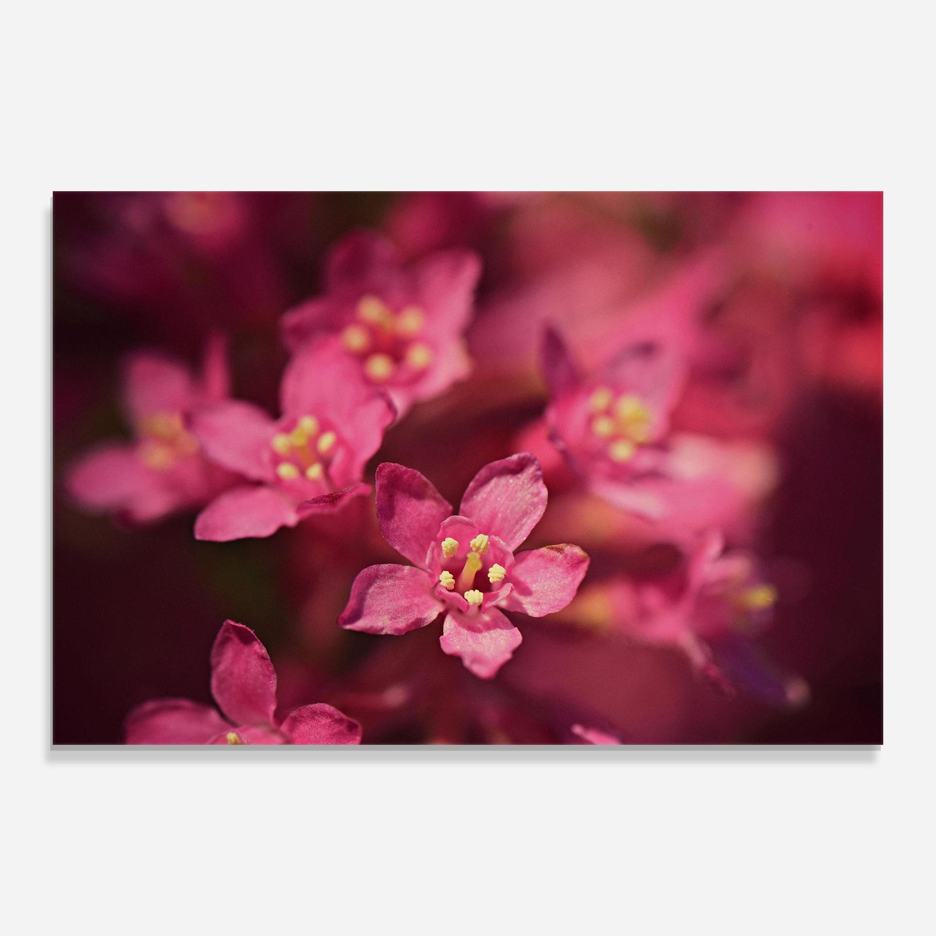 Üvegkép Flower Background mockup 0