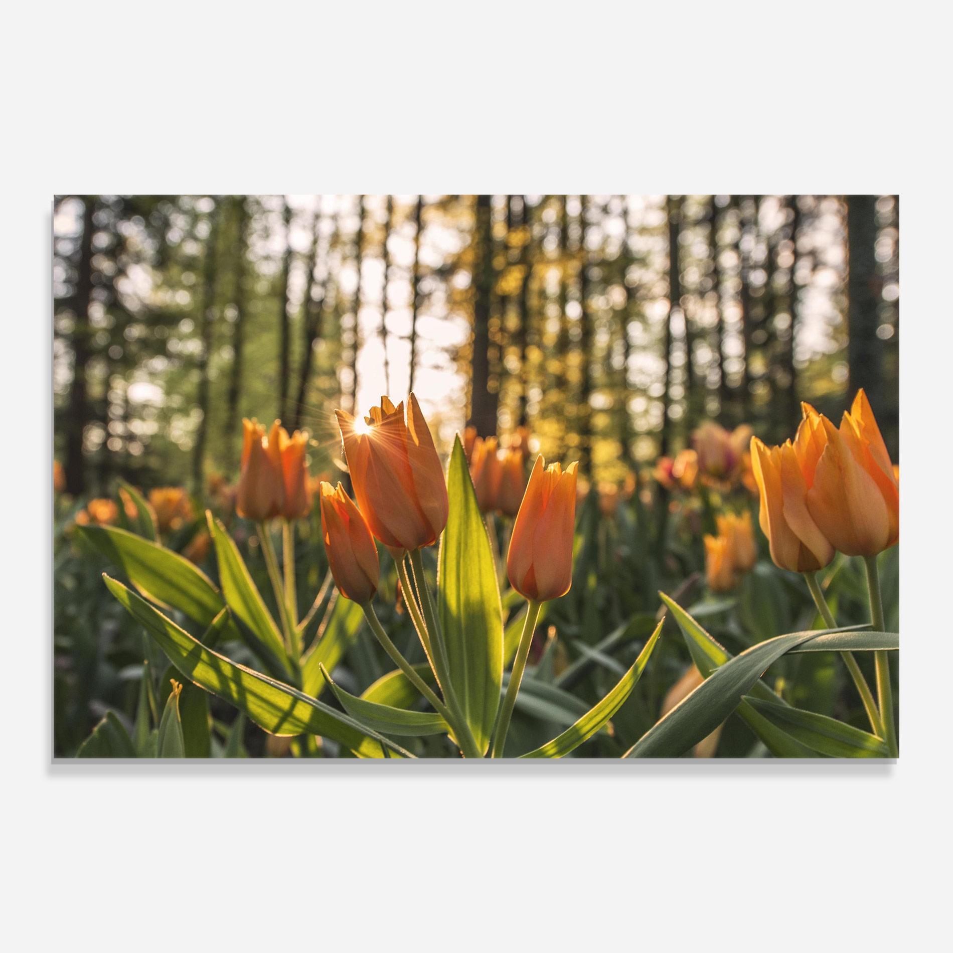 Üvegkép Forest Tulips mockup 0
