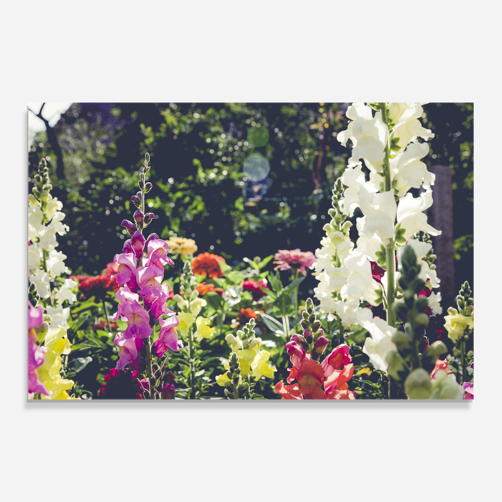 Garden Pretty Flowers mockup 0