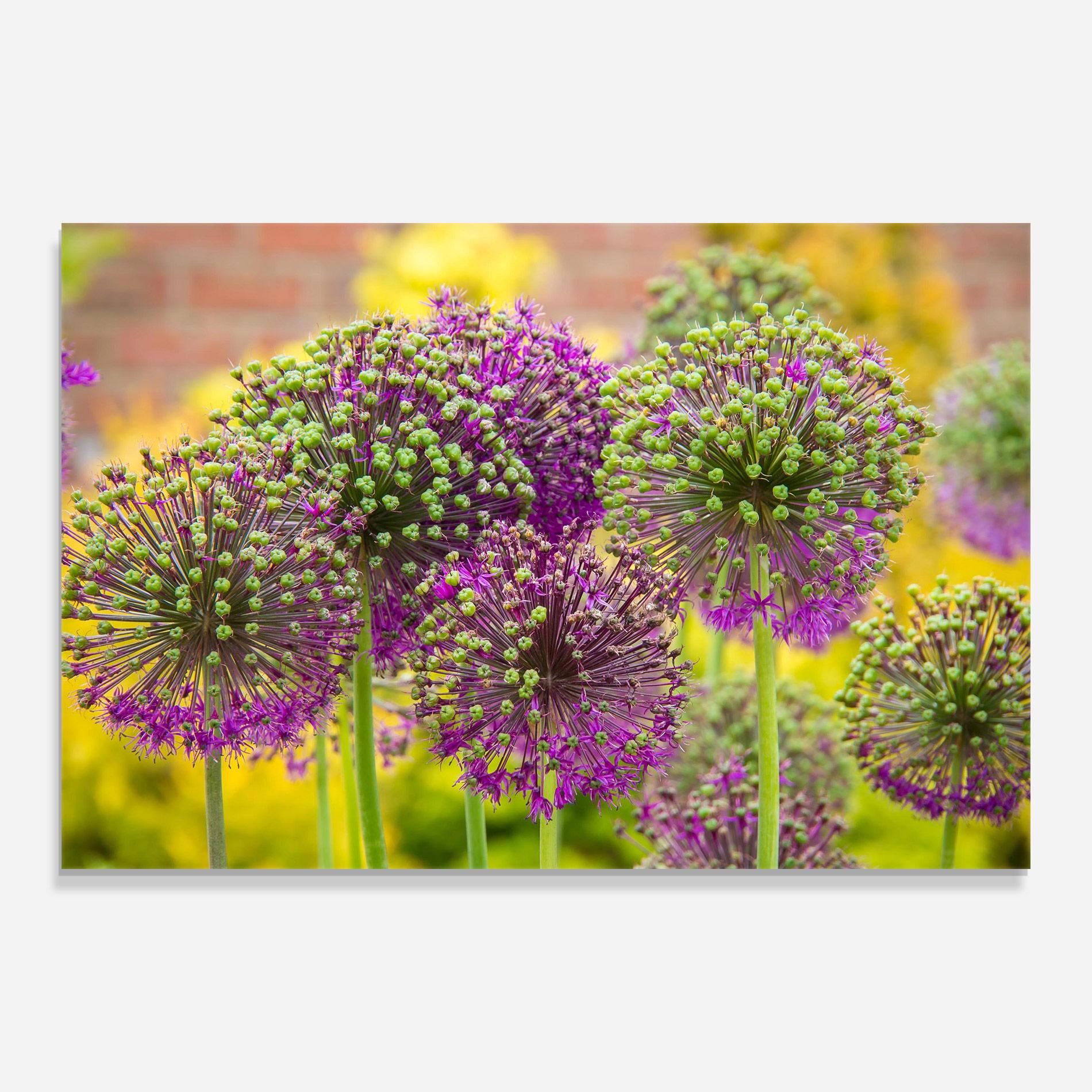 Üvegkép Green Purple Garden mockup 0