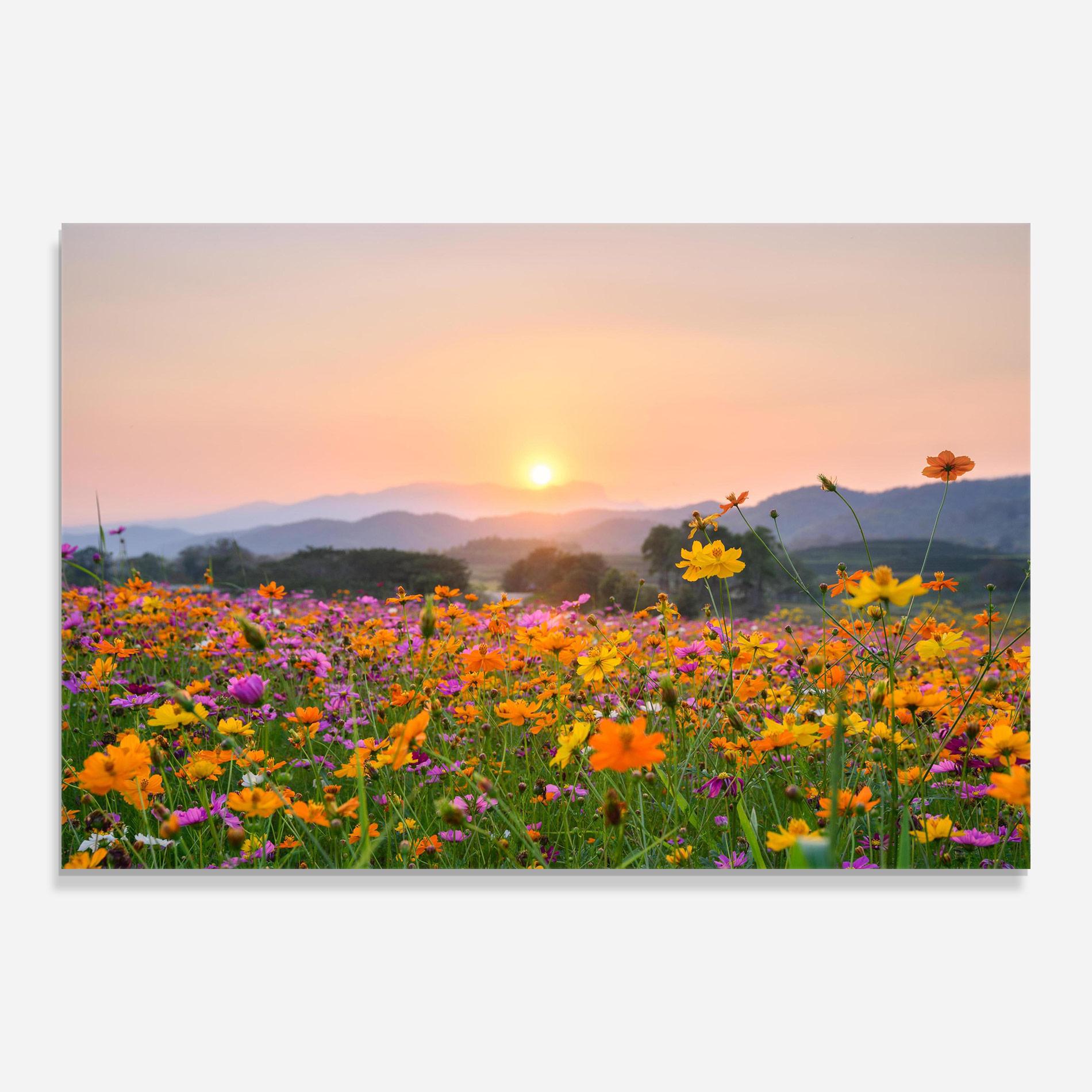 Üvegkép Sunset Mountain Flowerf mockup 0