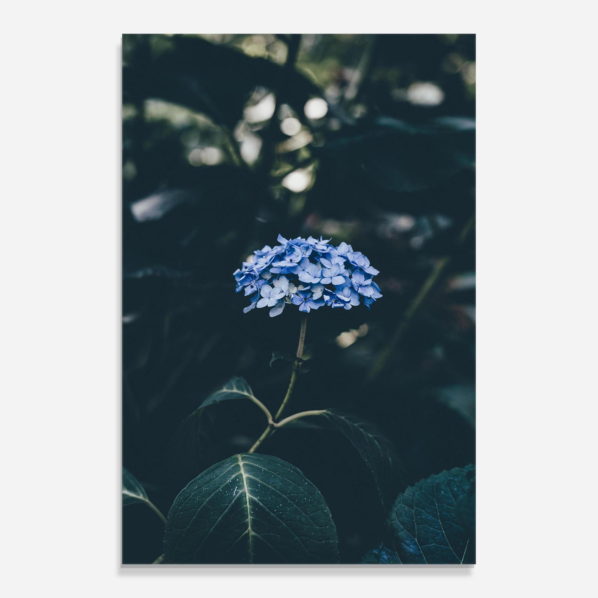 Üvegkép Forest Blue Flower mockup 0