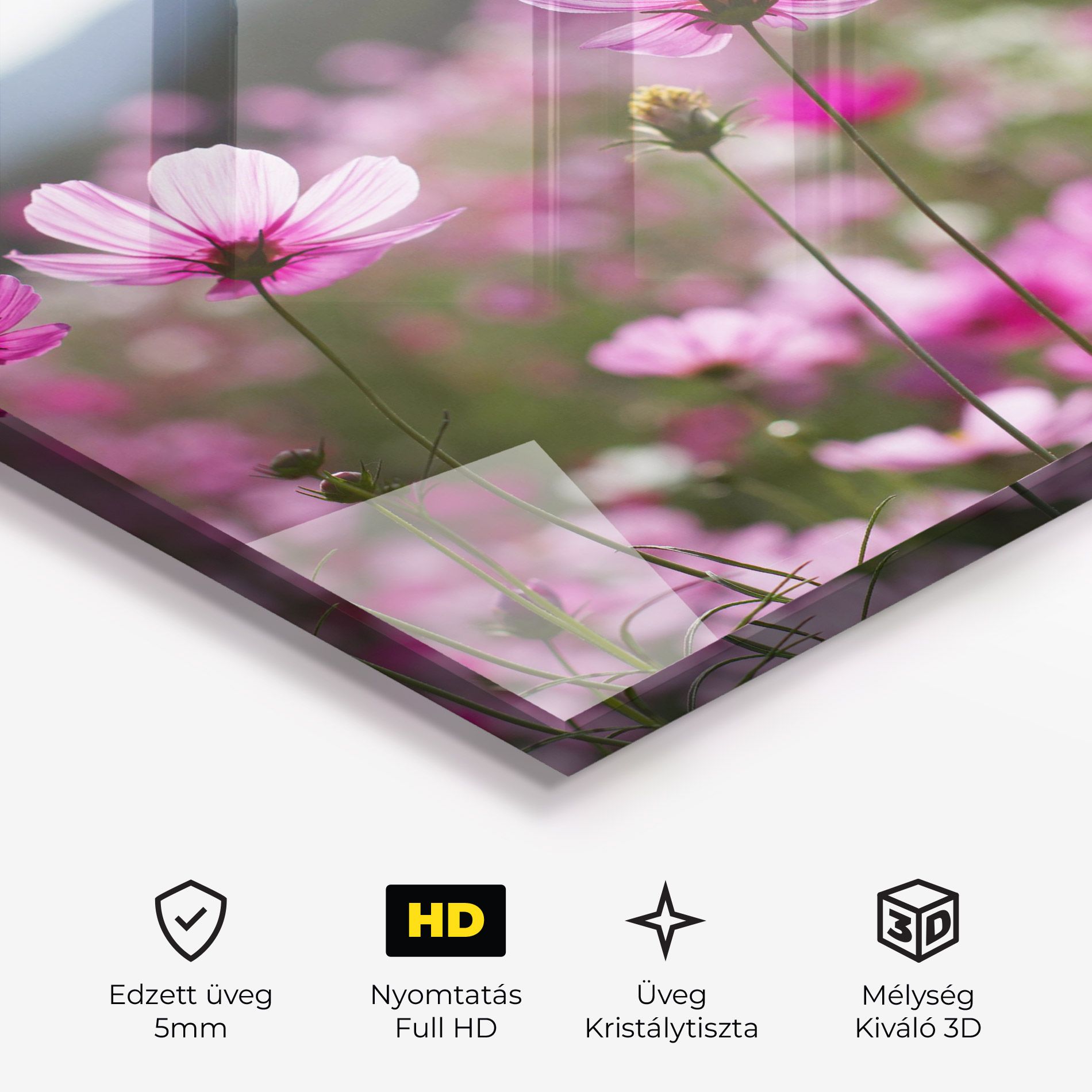 Cosmos Flower mockup 3
