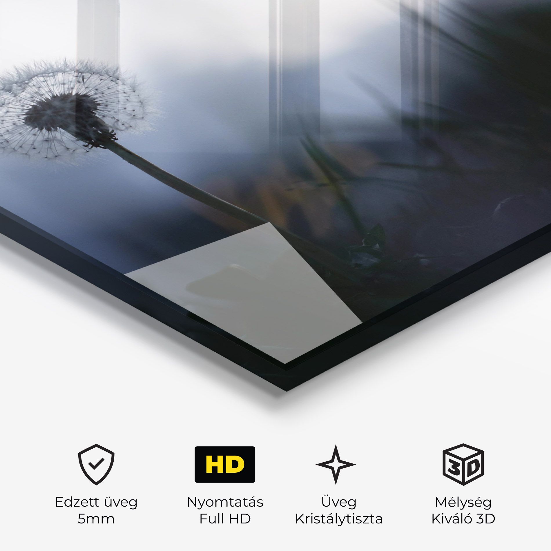 Dandelion Wild View mockup 3