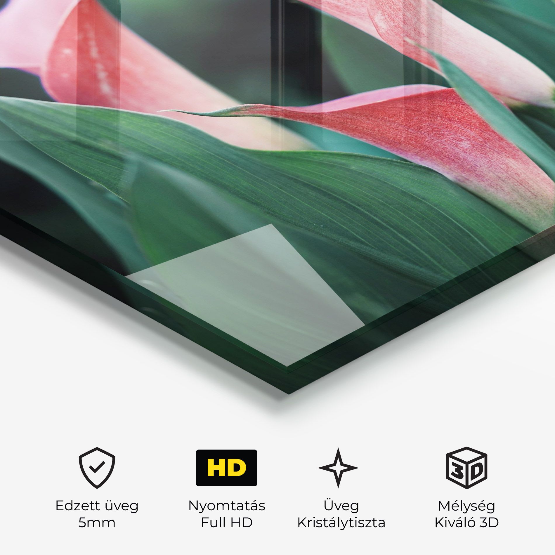 Early Spring mockup 3