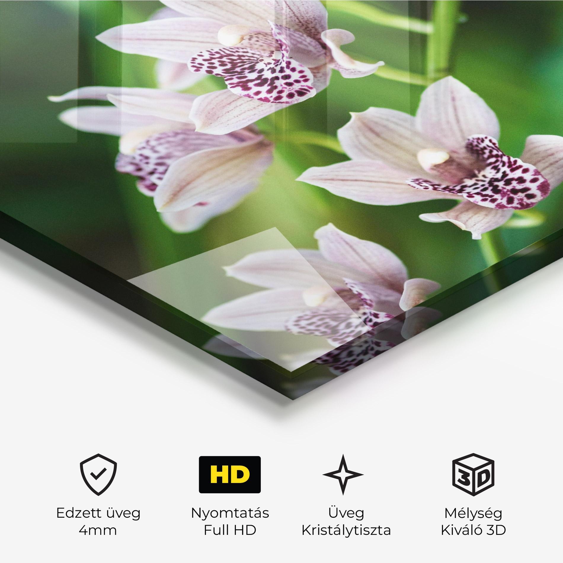 Üvegkép Cymbidium Orchid mockup 3